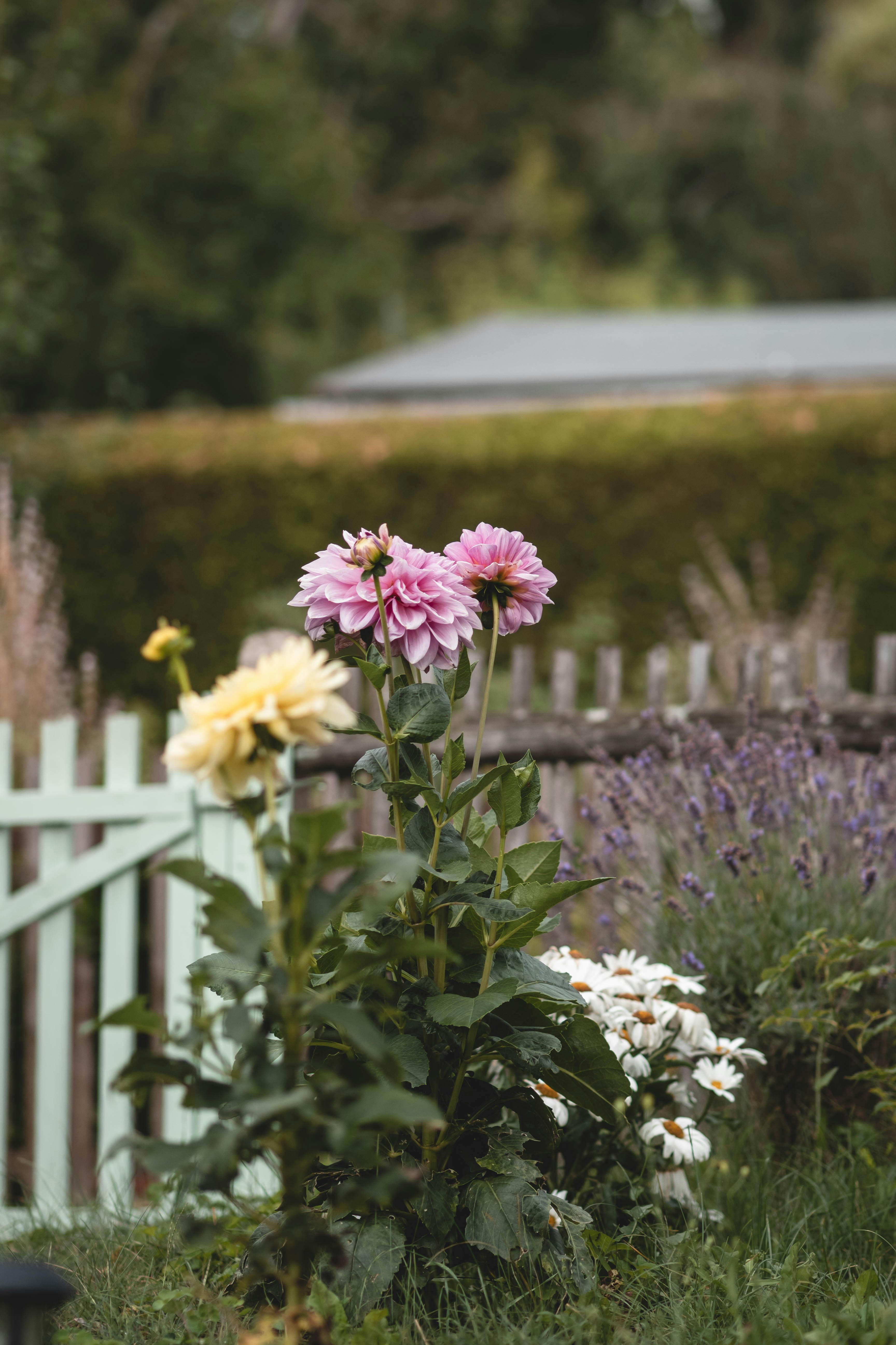 Photo by eileen_kummer