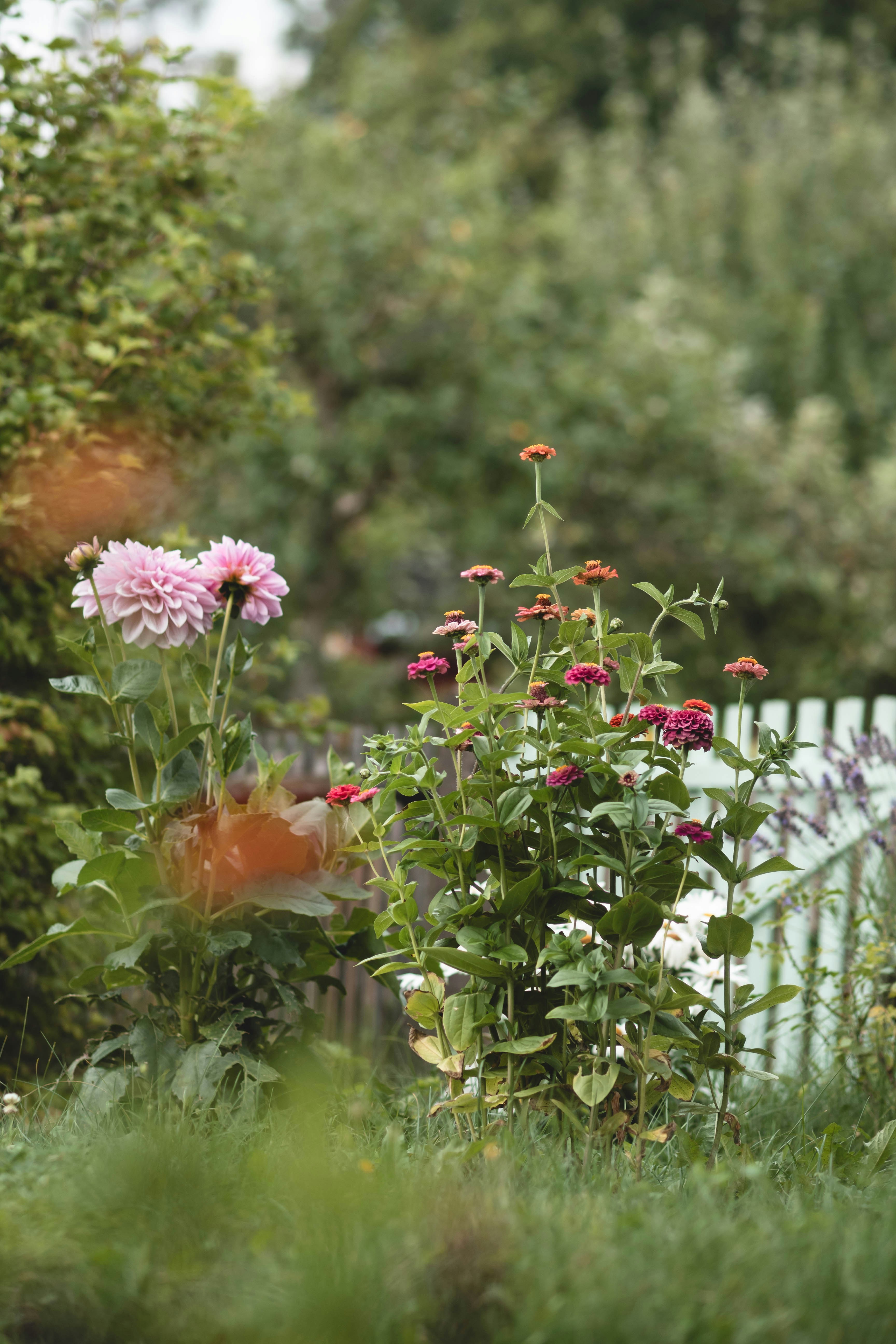 Photo by eileen_kummer