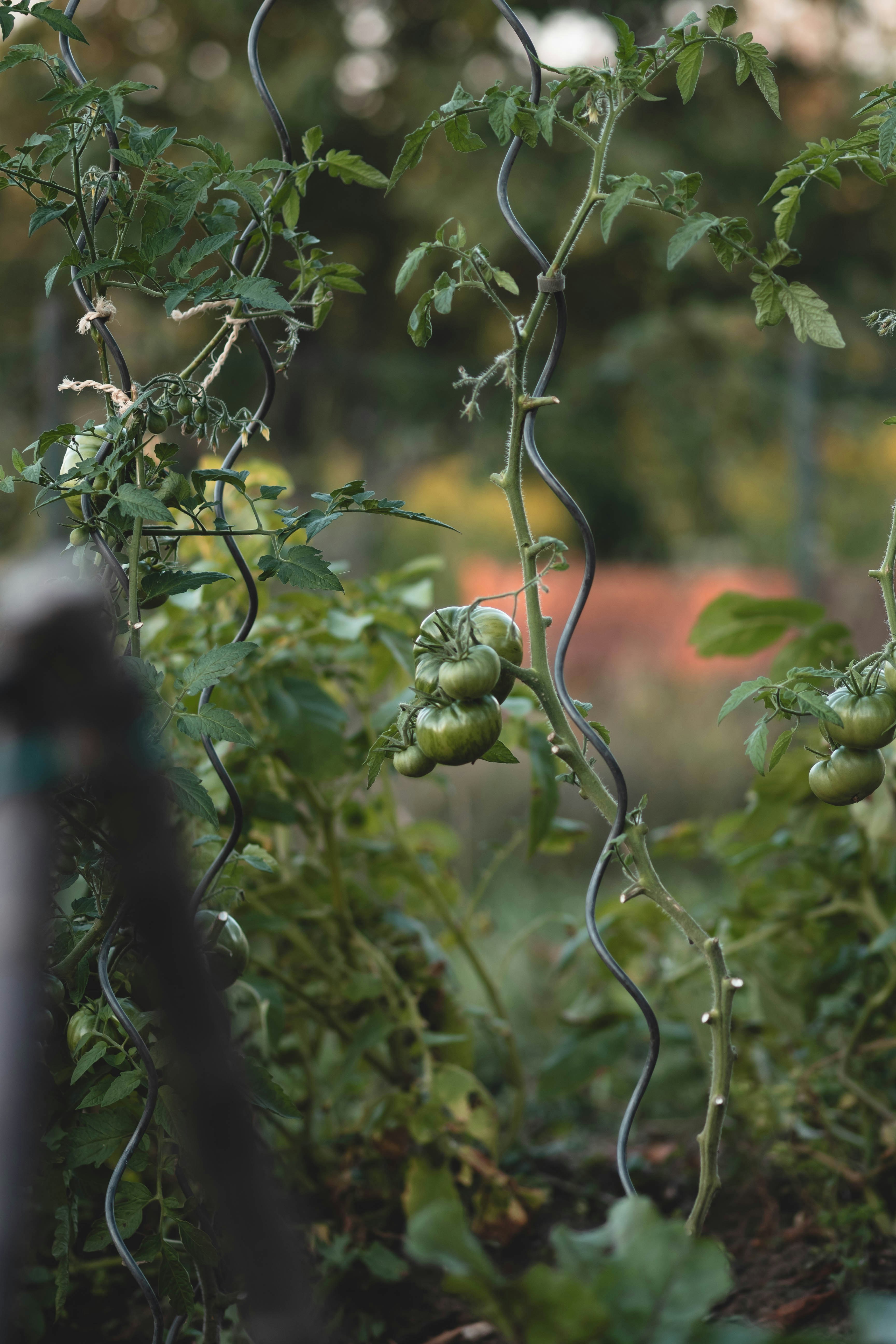 Photo by eileen_kummer