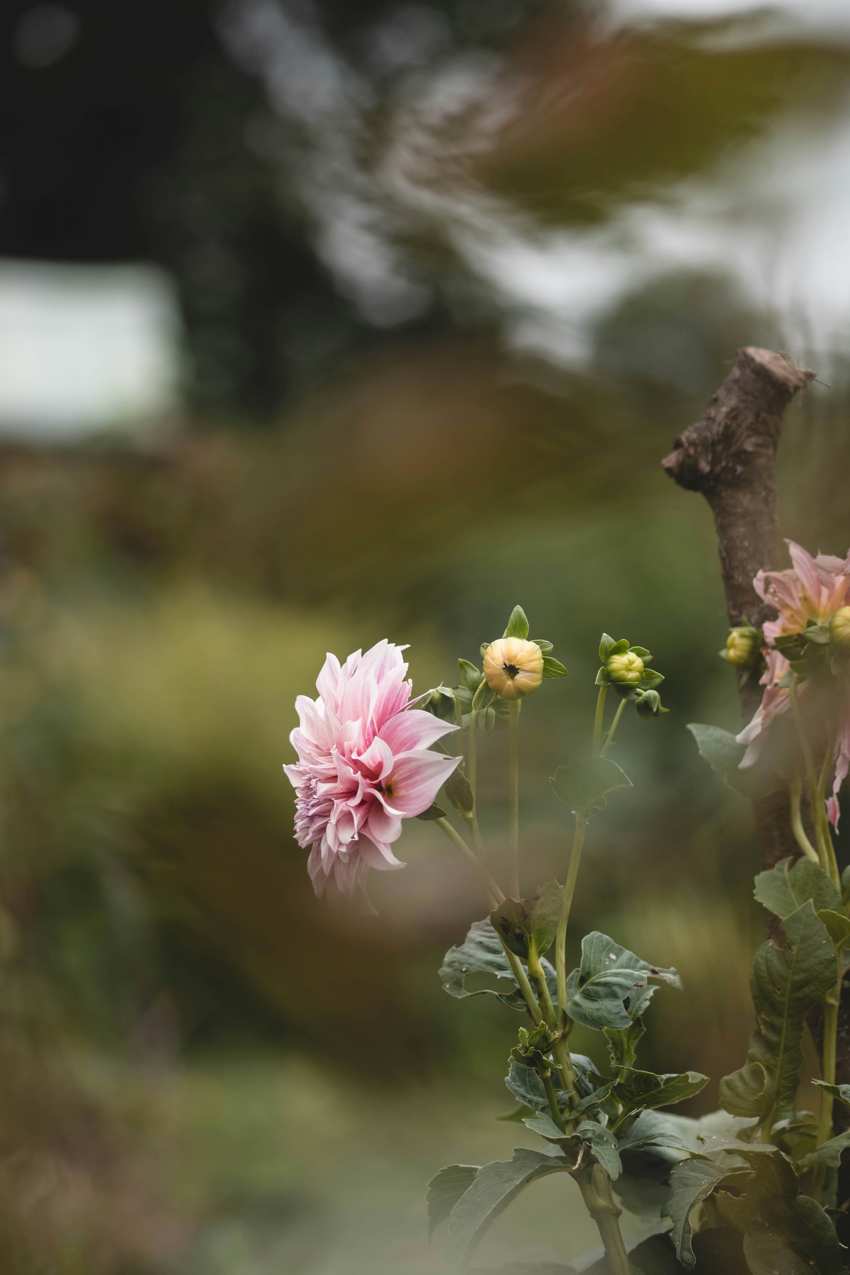 Photo by eileen_kummer