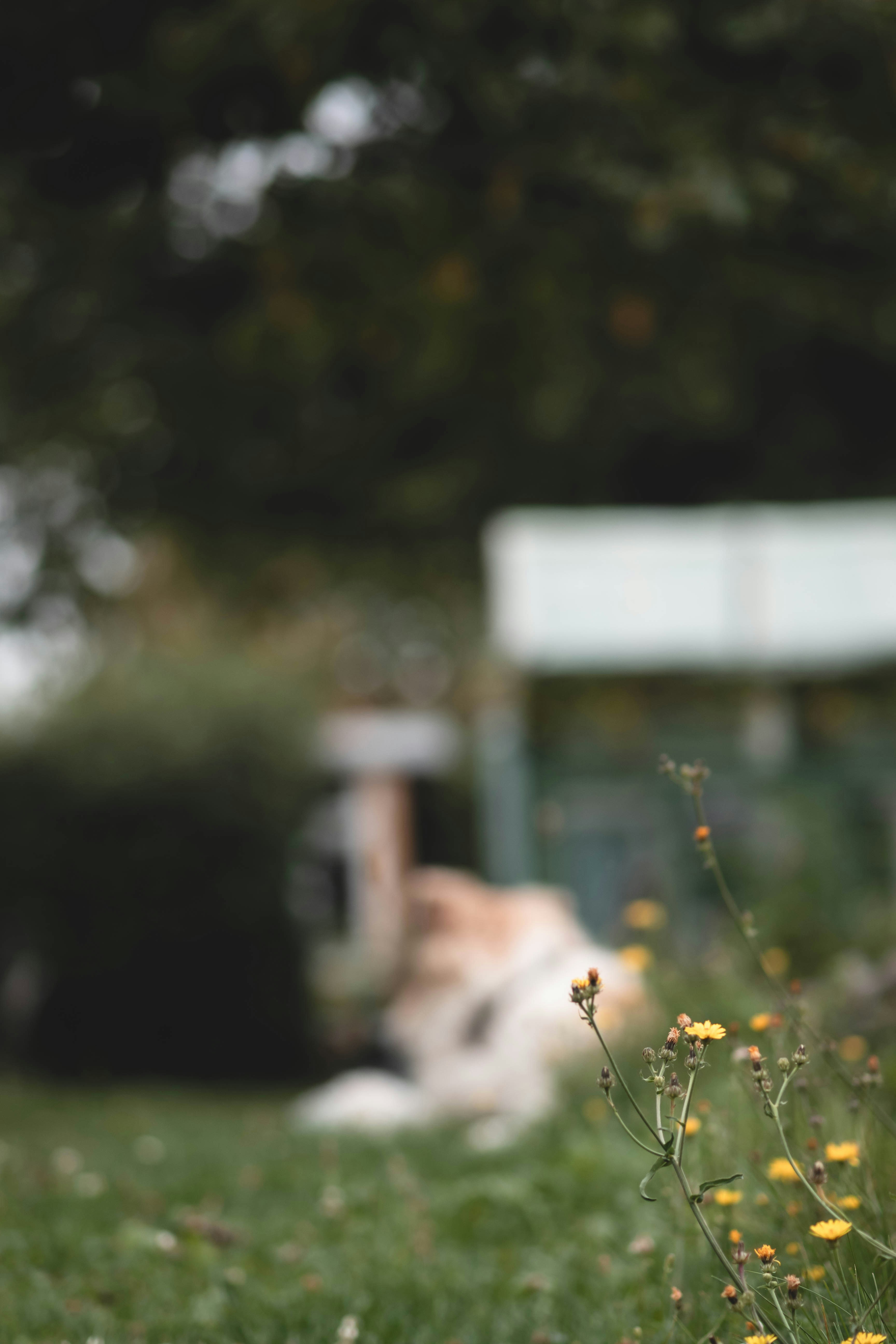 Photo by eileen_kummer