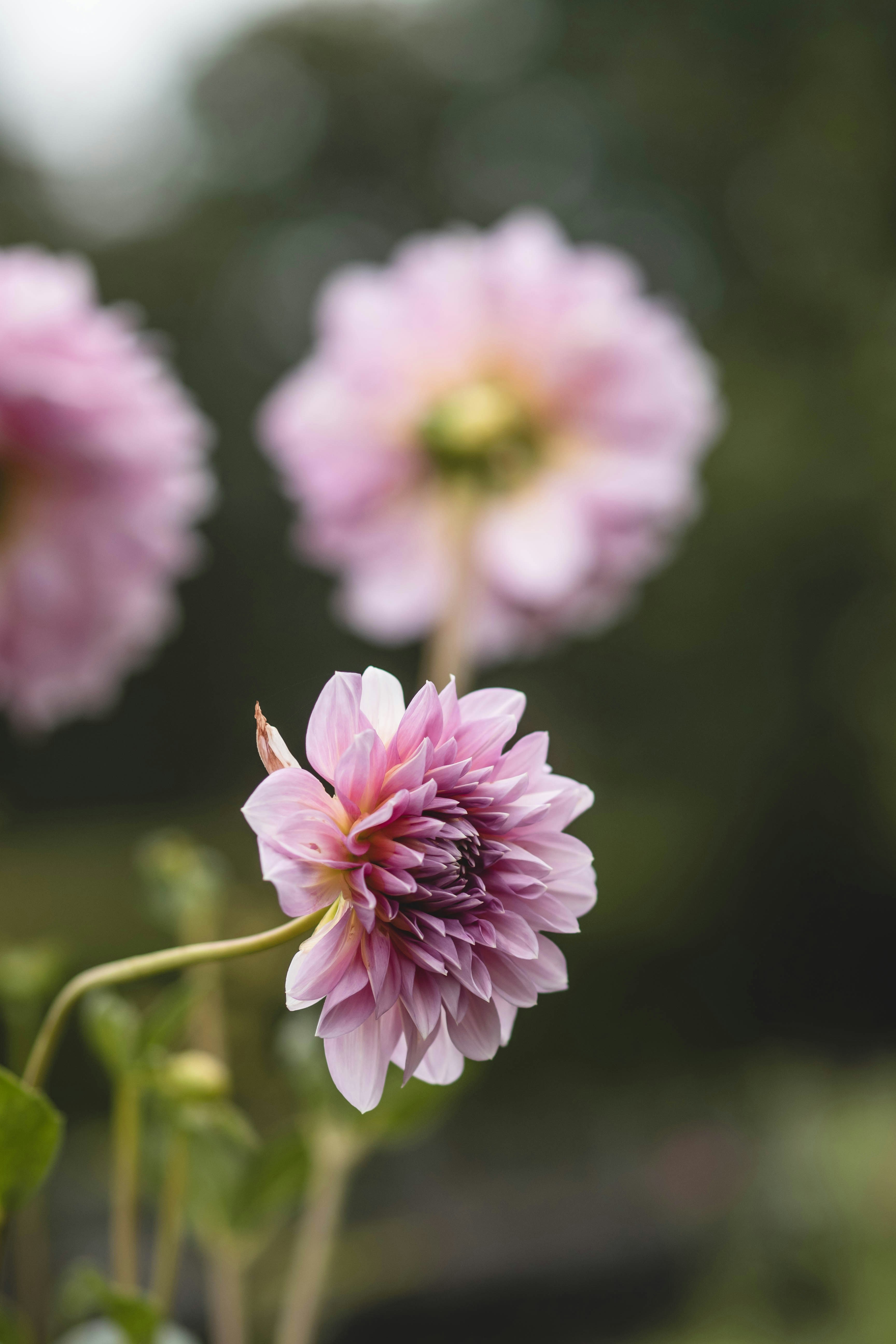 Photo by eileen_kummer