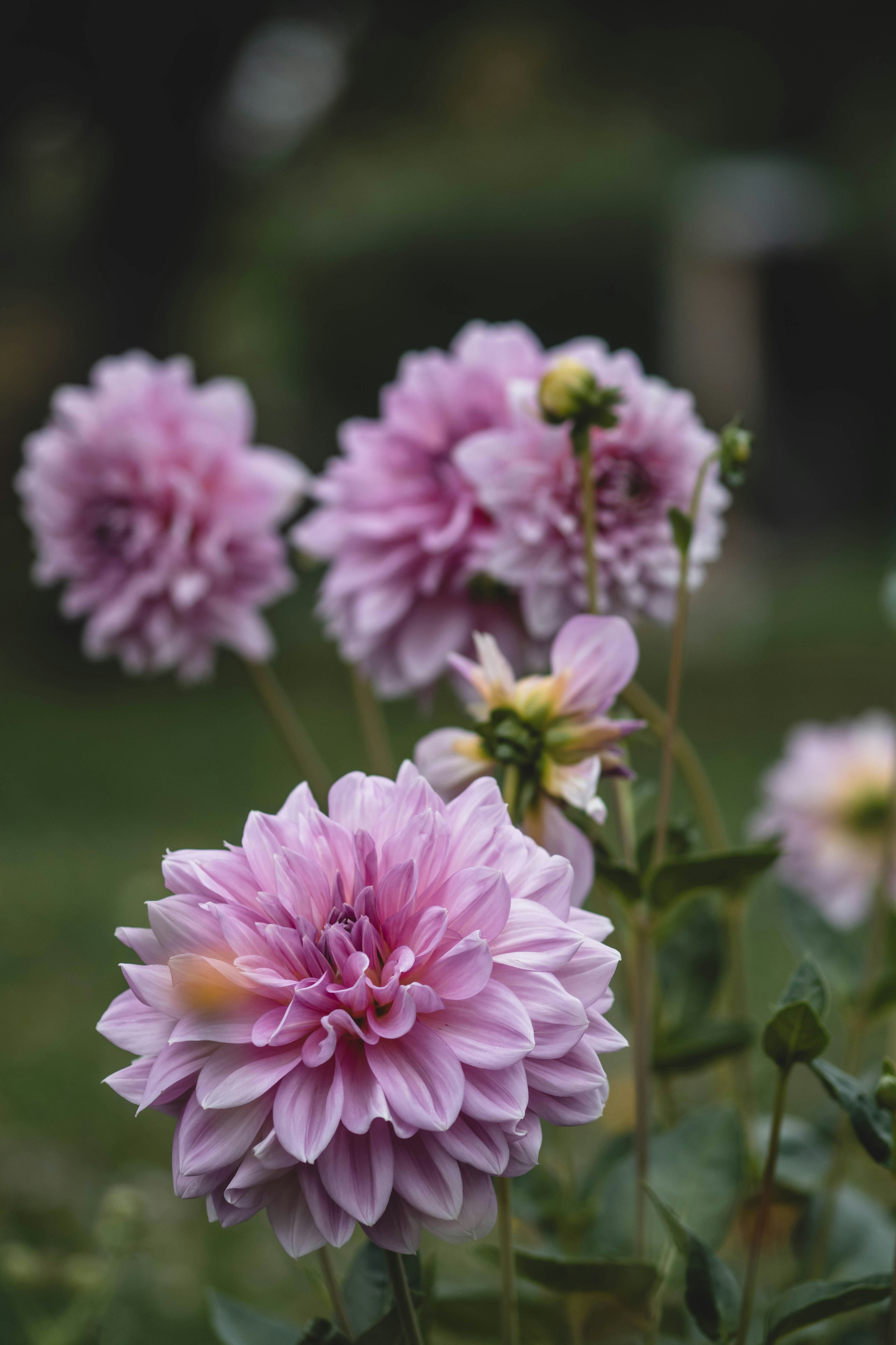 Photo by eileen_kummer