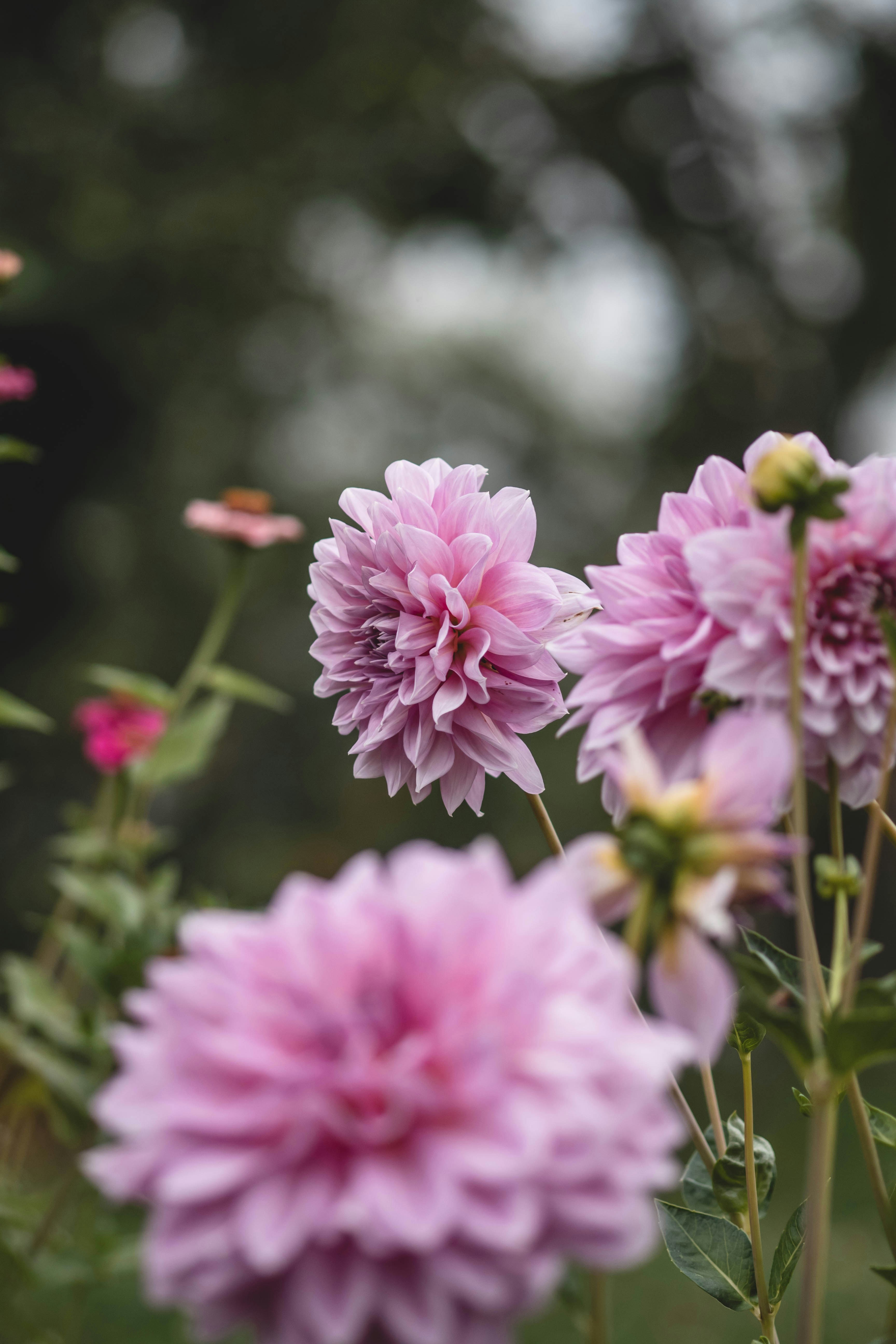 Photo by eileen_kummer