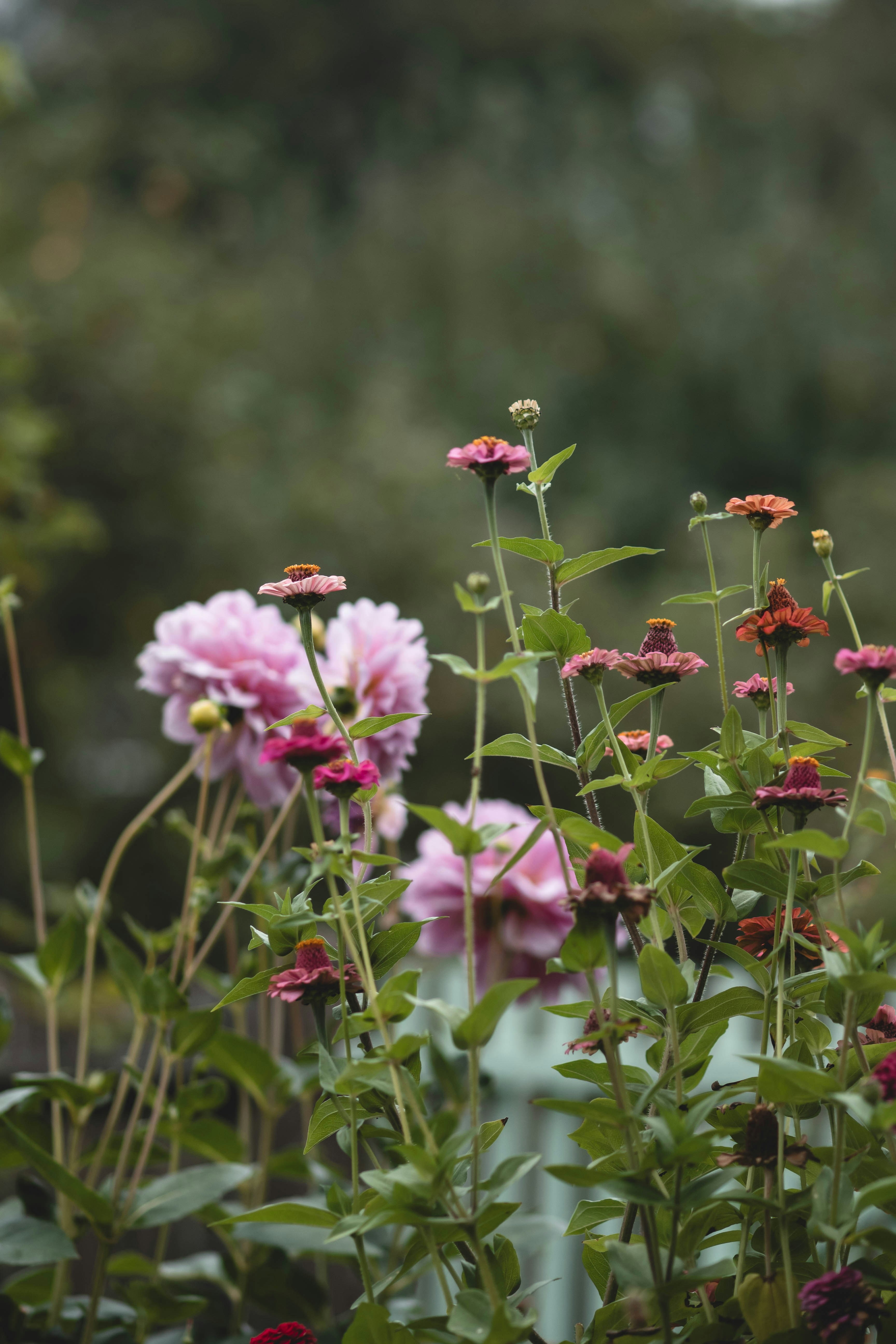 Photo by eileen_kummer