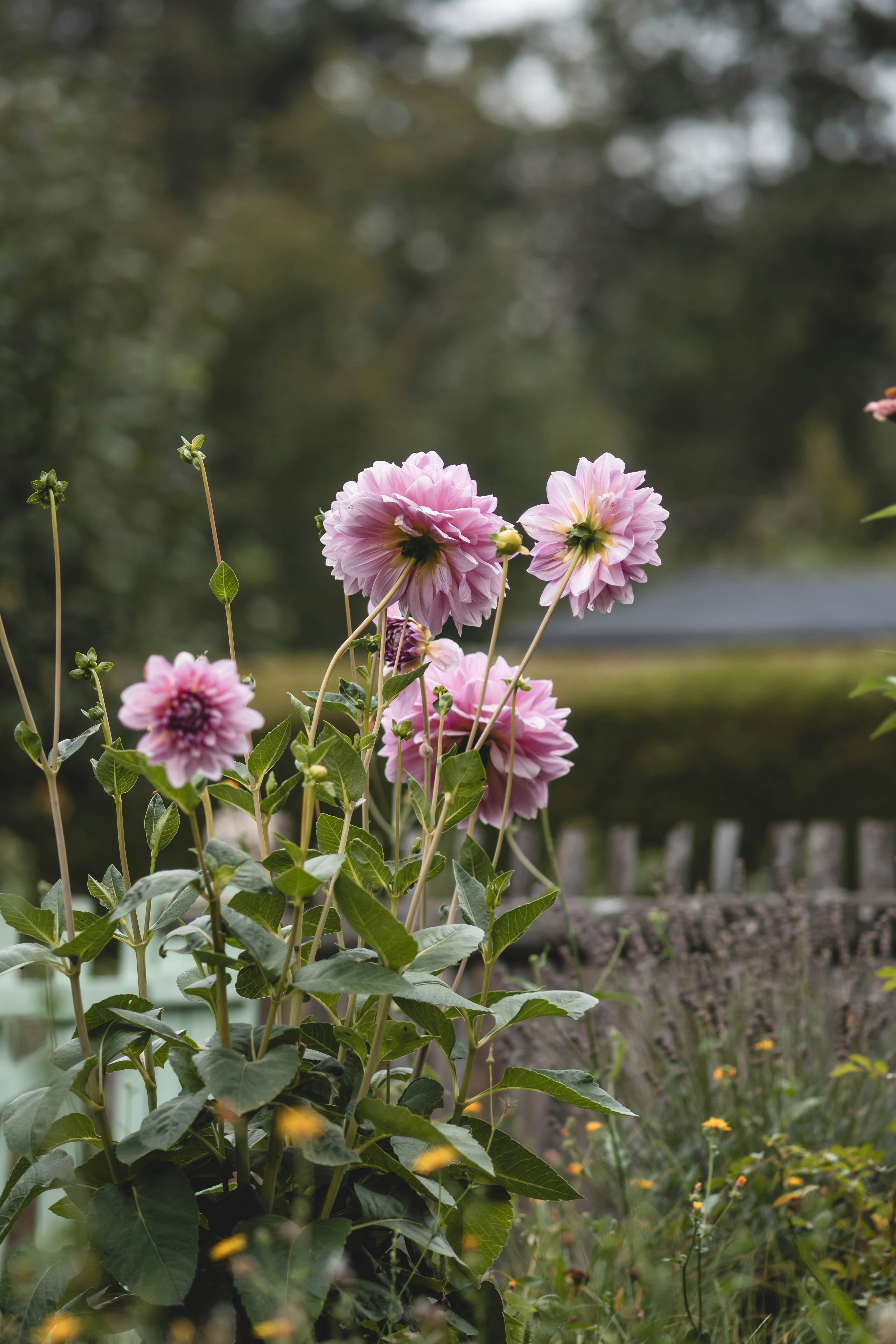 Photo by eileen_kummer