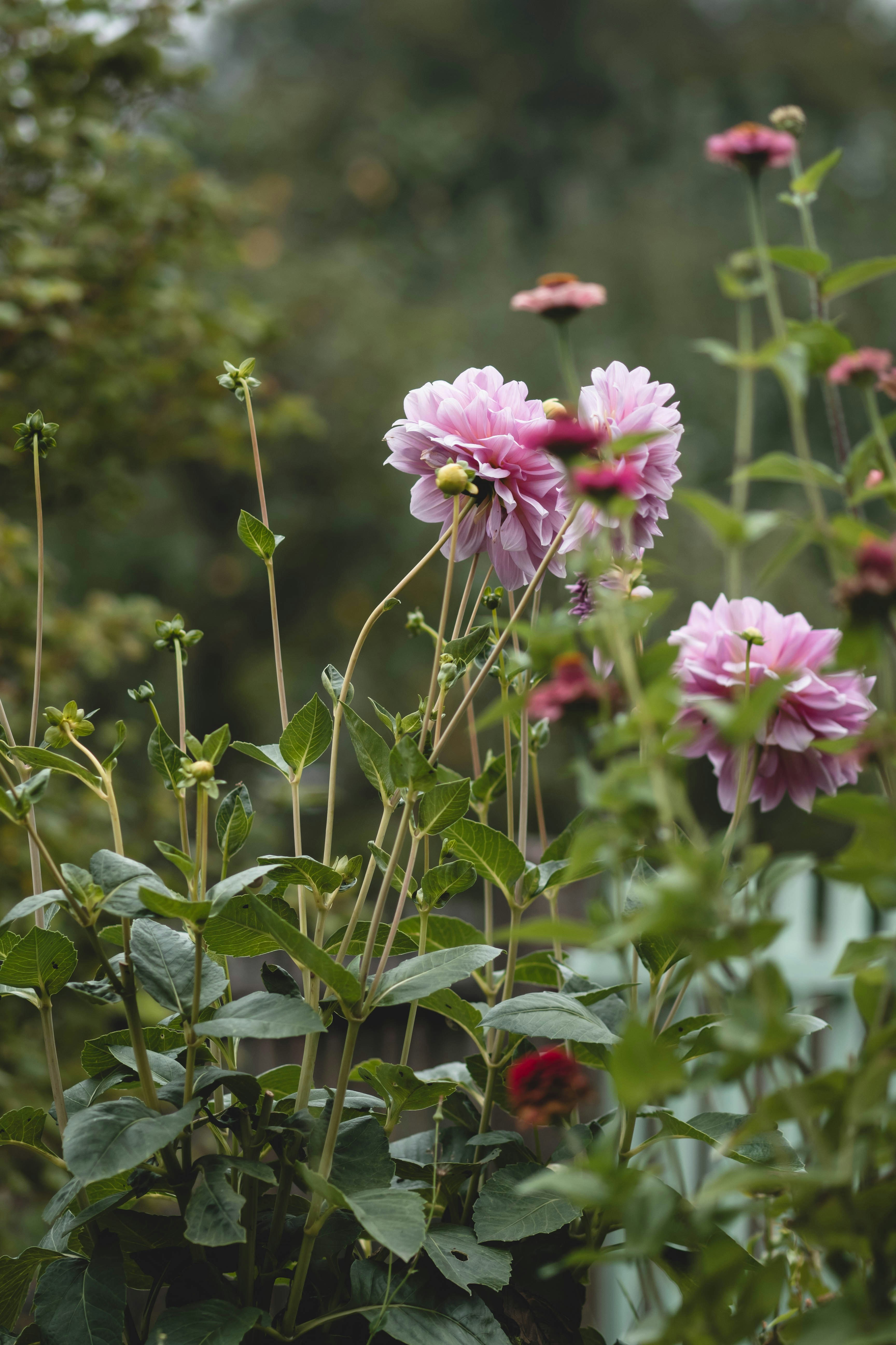 Photo by eileen_kummer