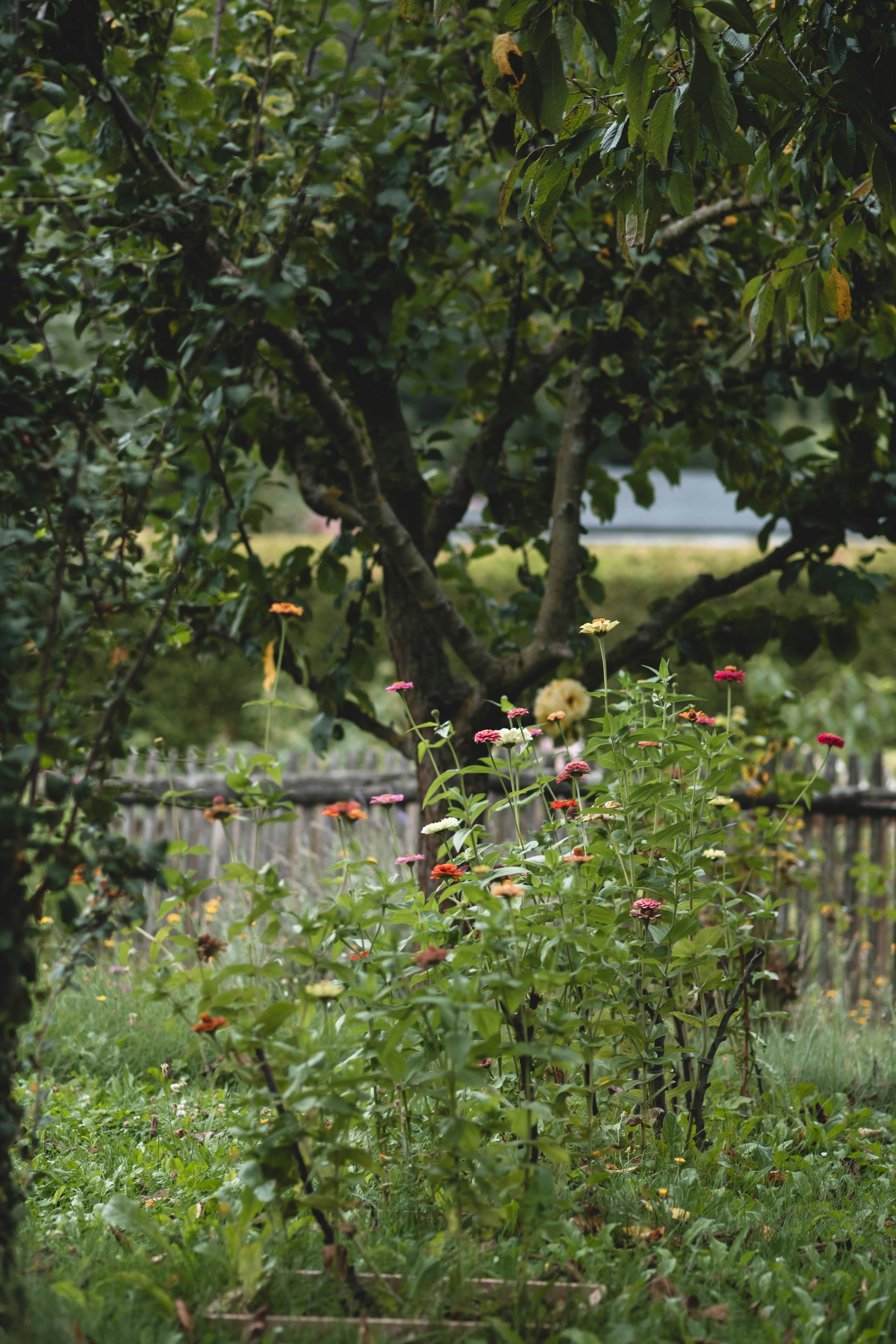 Photo by eileen_kummer