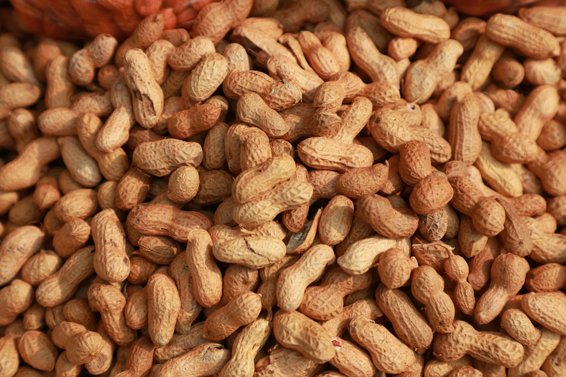 A pile of peanuts sitting on top of a table