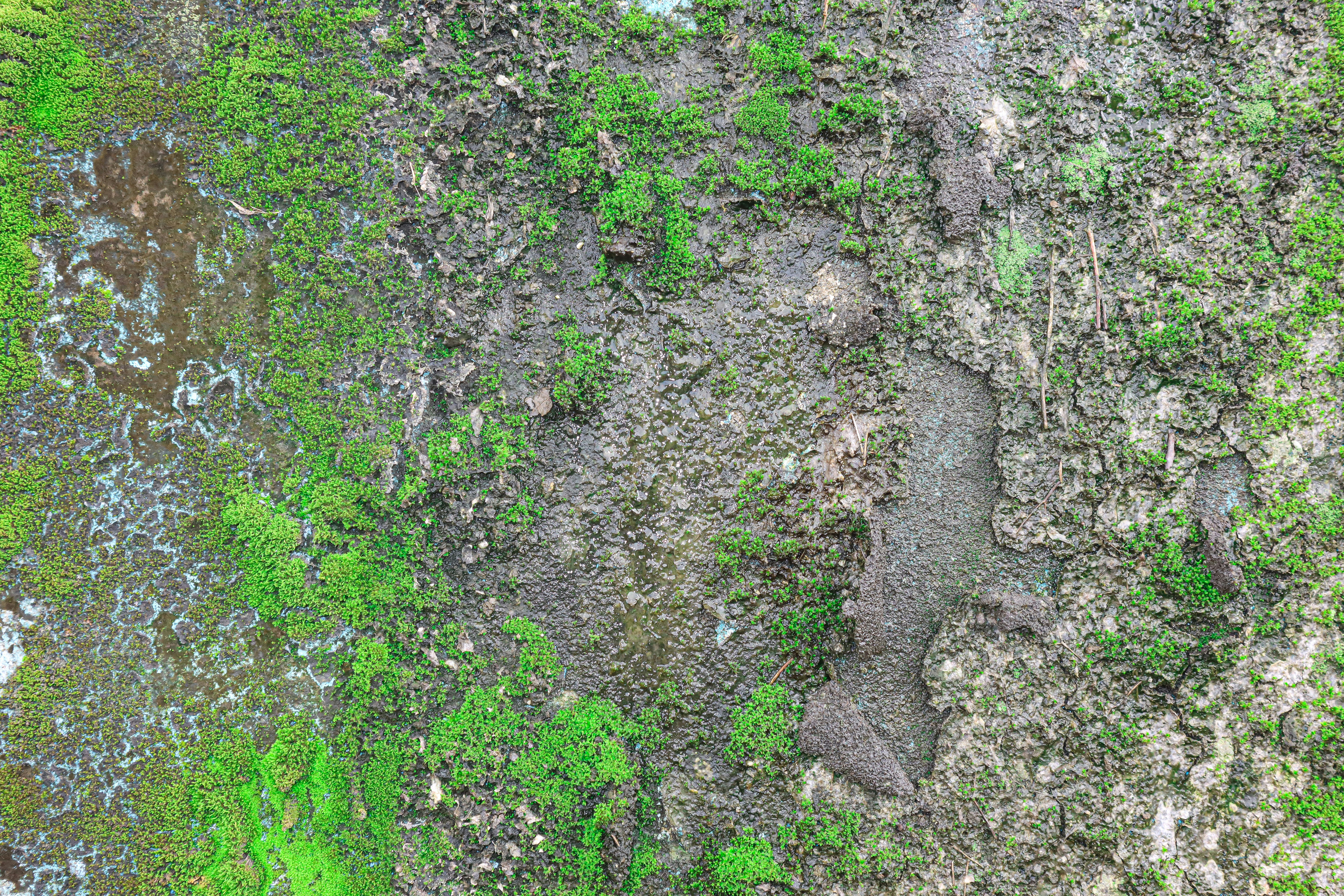 초록변! 정상인가요? 다양한 원인 알아보기 💡