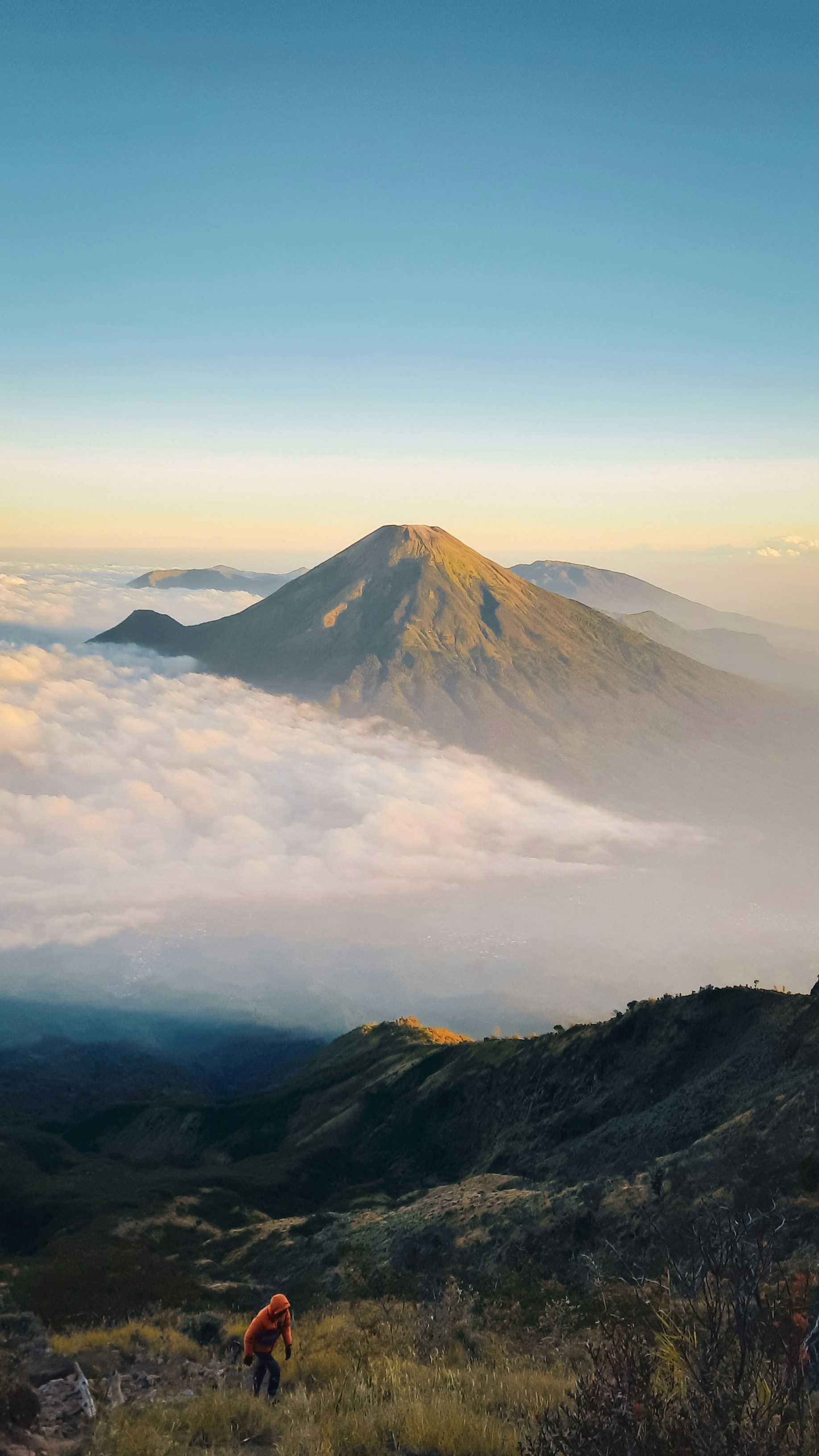 A man standing on top of a lush green hillside
