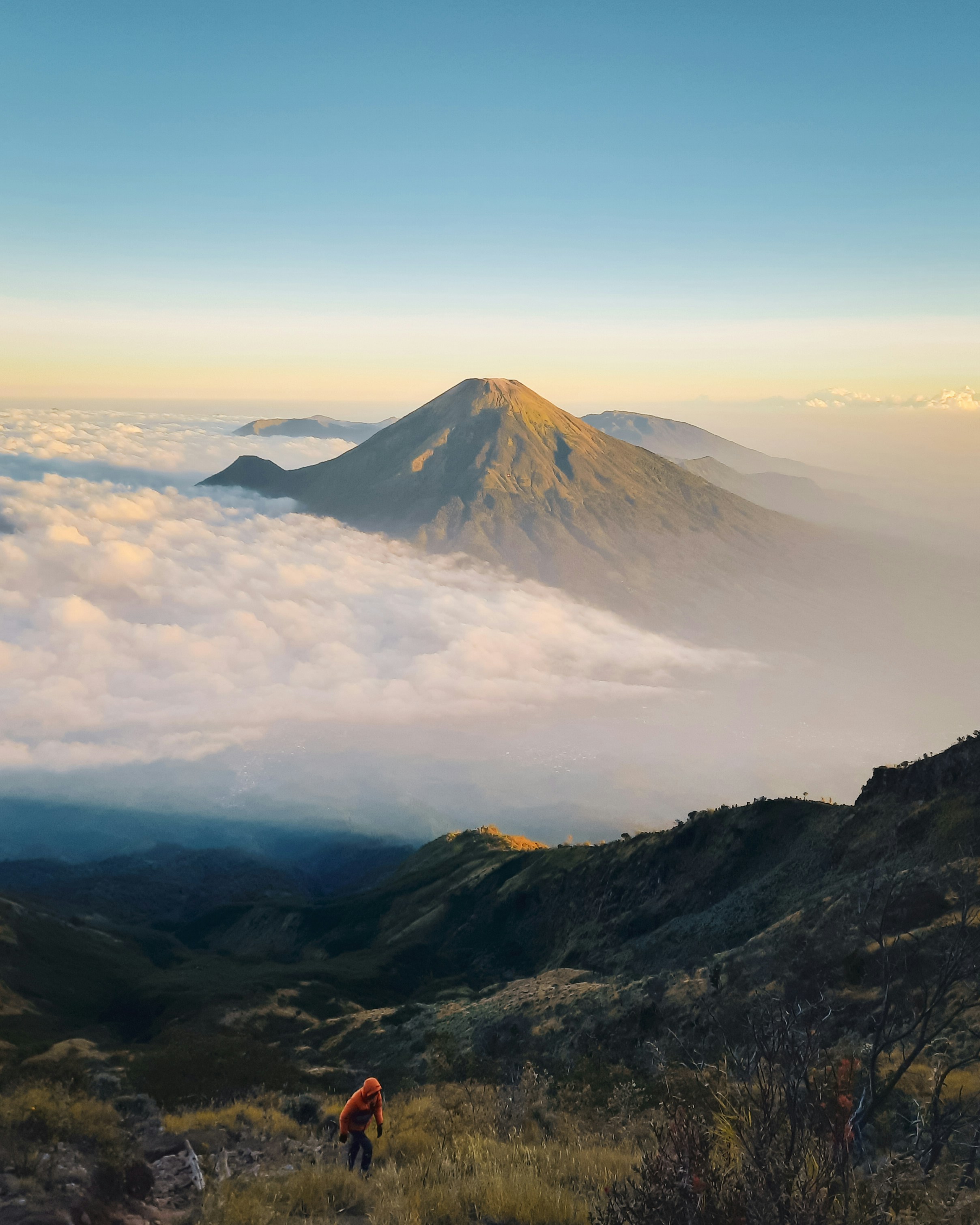 A man standing on top of a lush green hillside