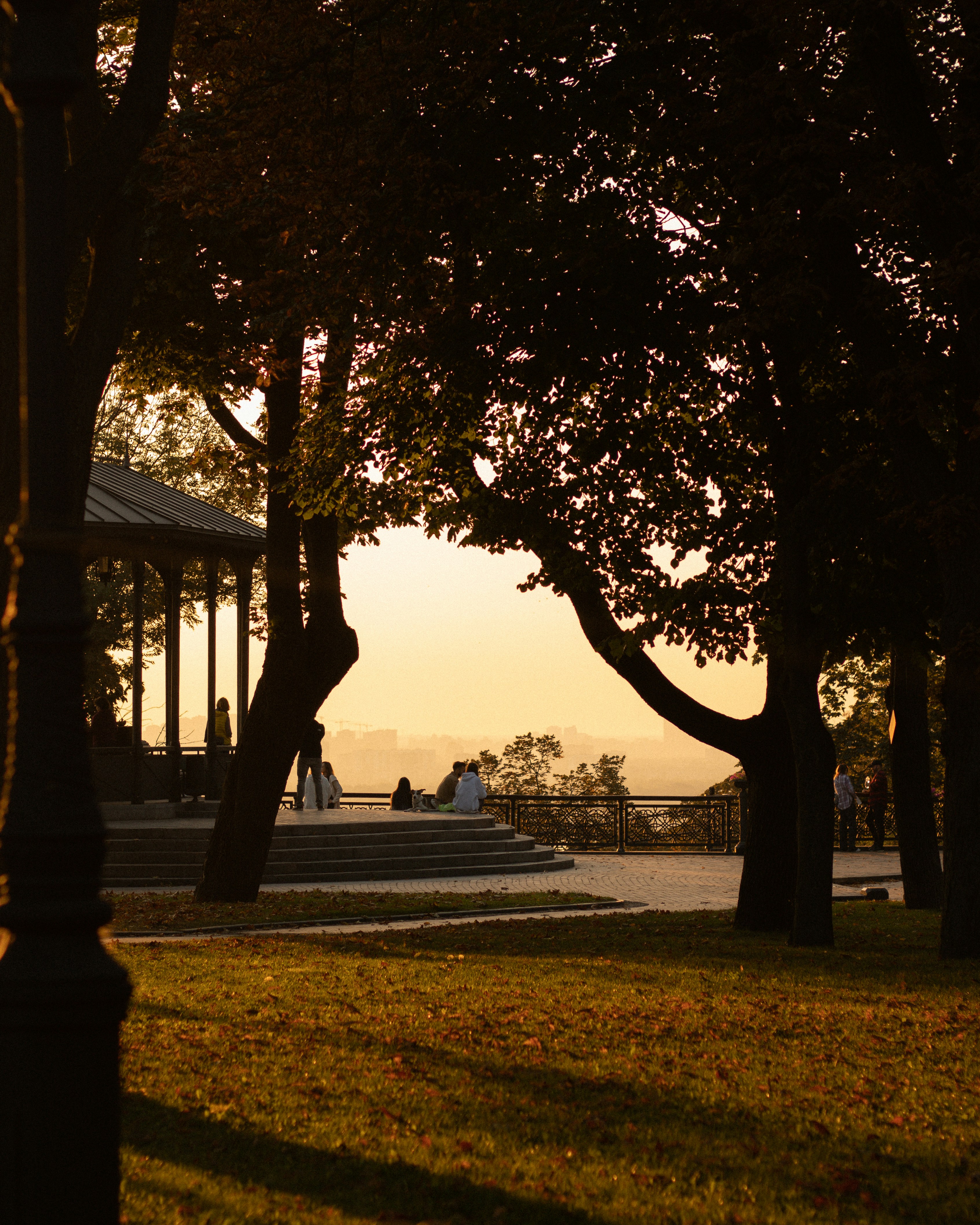 Photo by darynadudar