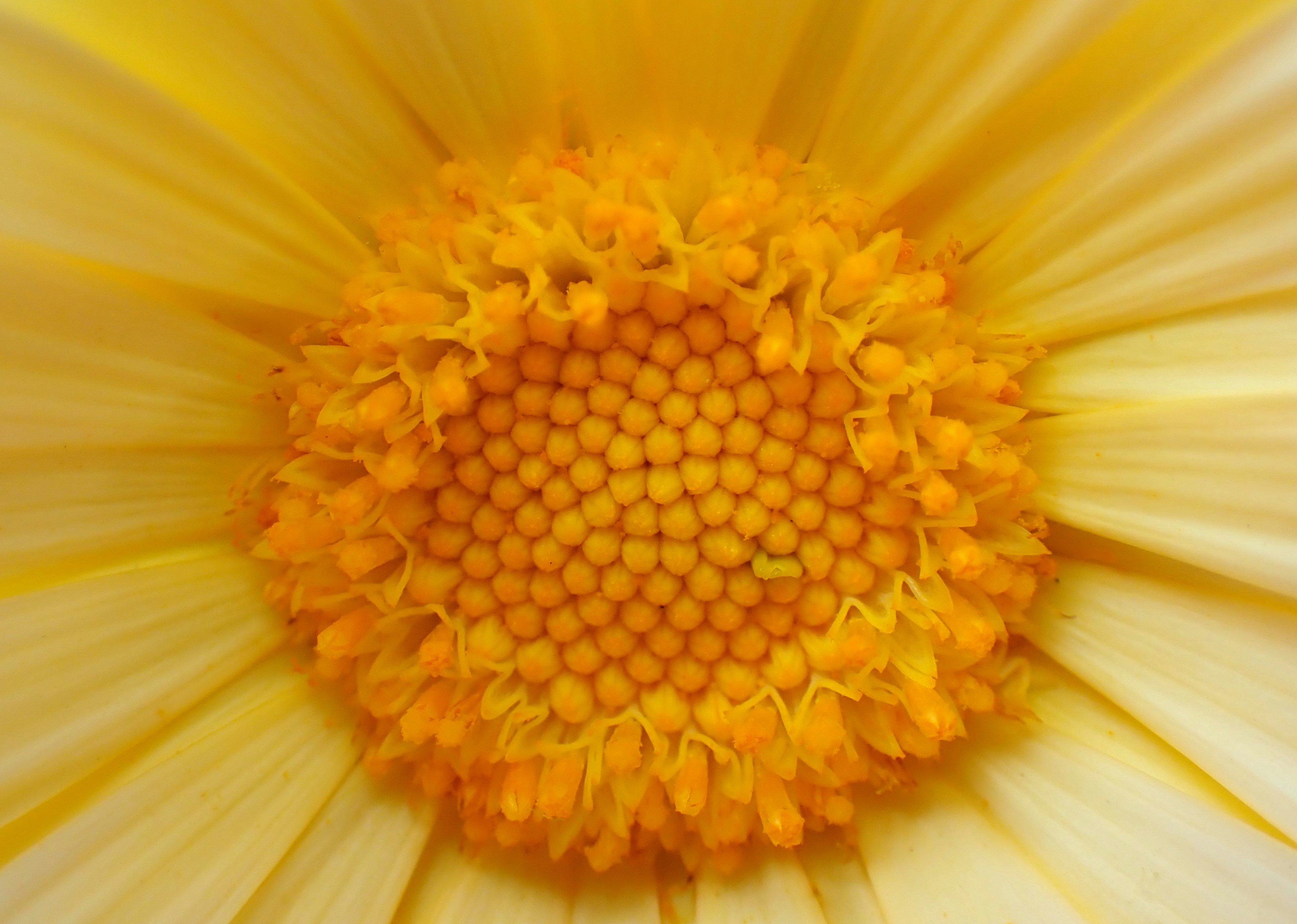 Photo by mostlymarvelling