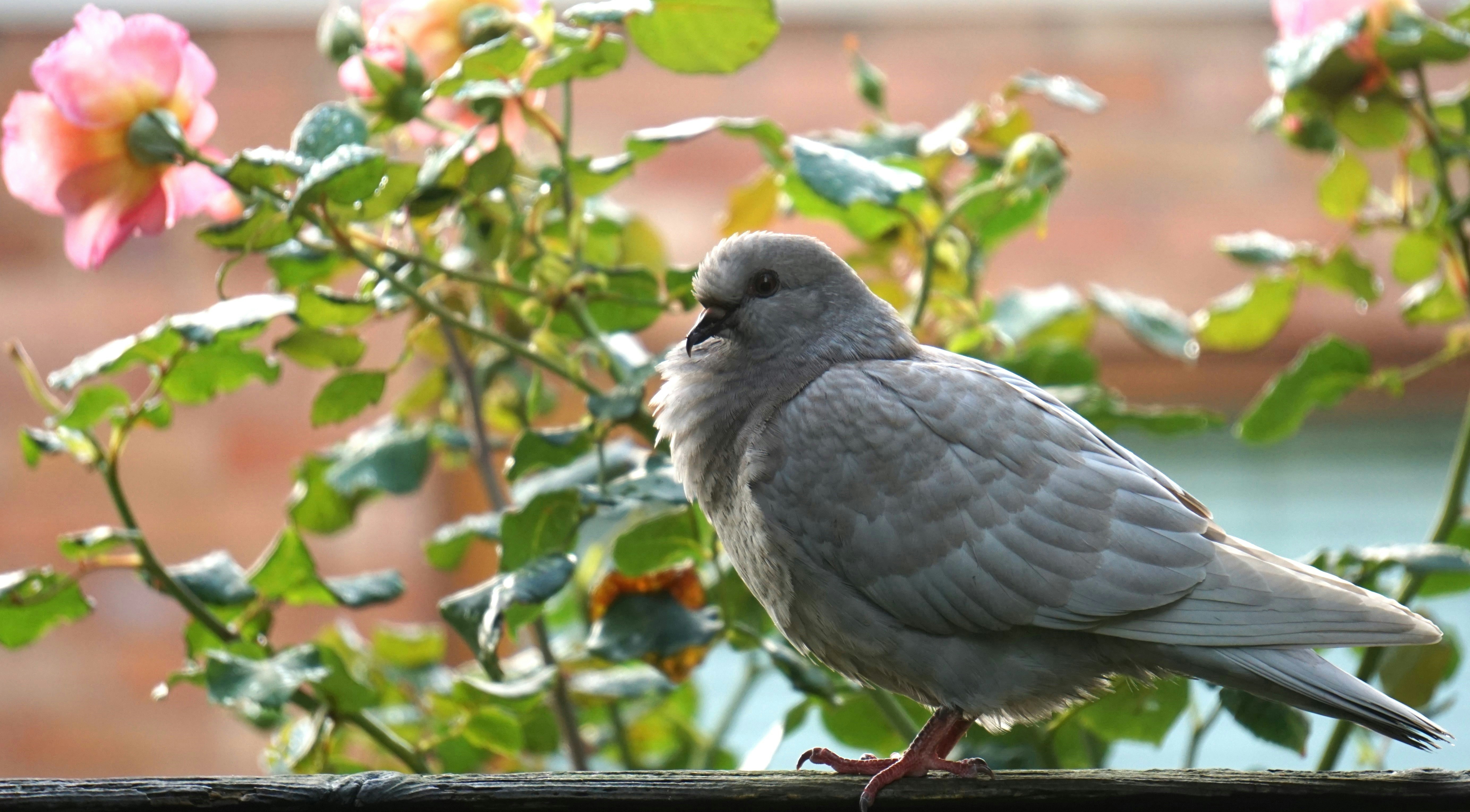 Photo by mostlymarvelling