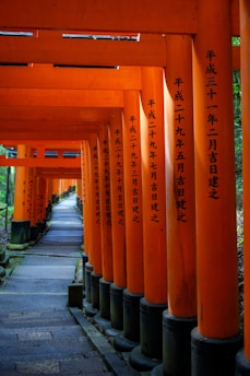 A row of orange tori tori tori tori tori tori tori tori tori tori tori tori