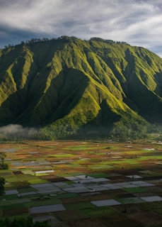 A large green mountain with a valley in the foreground