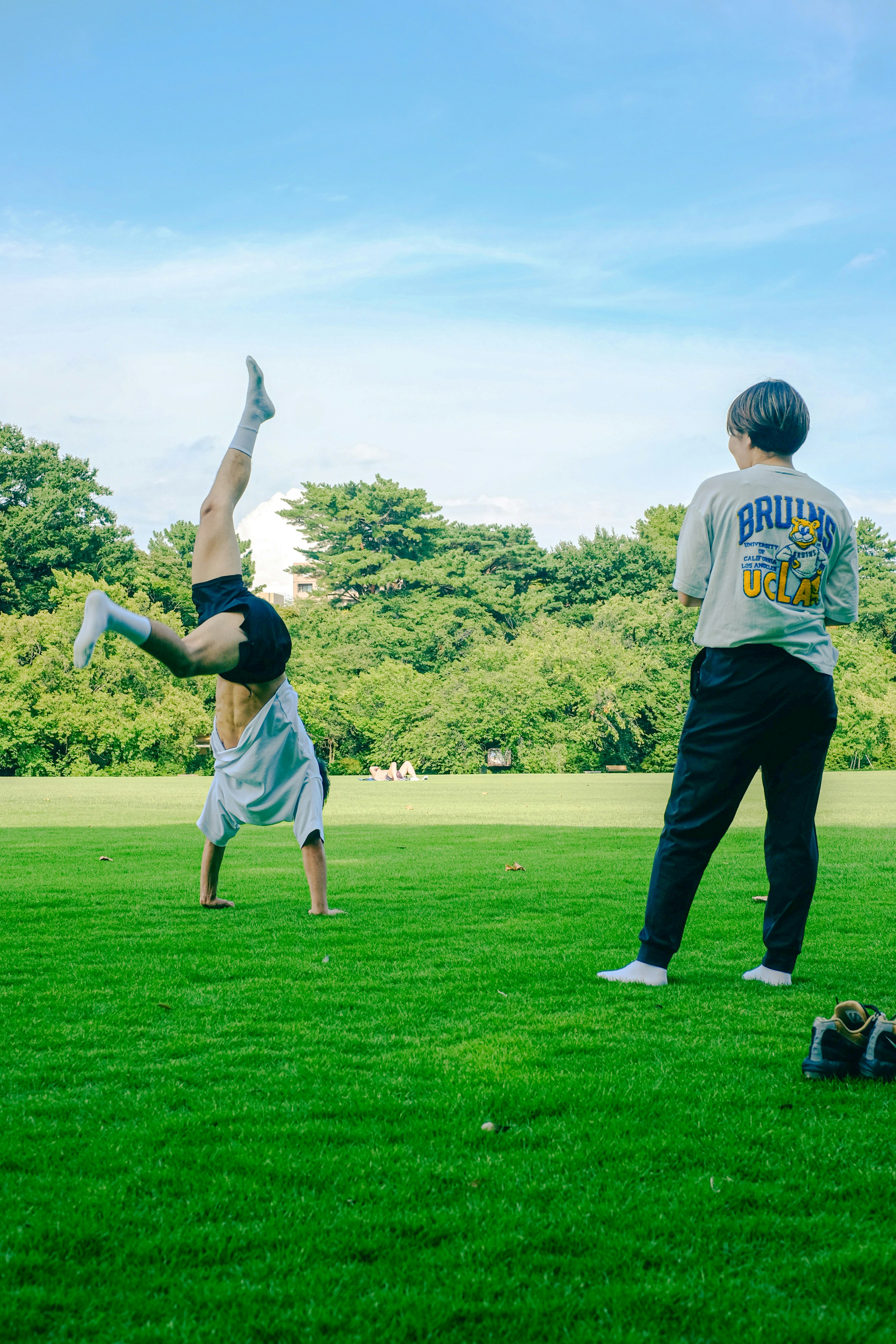 A person reading a book in a park