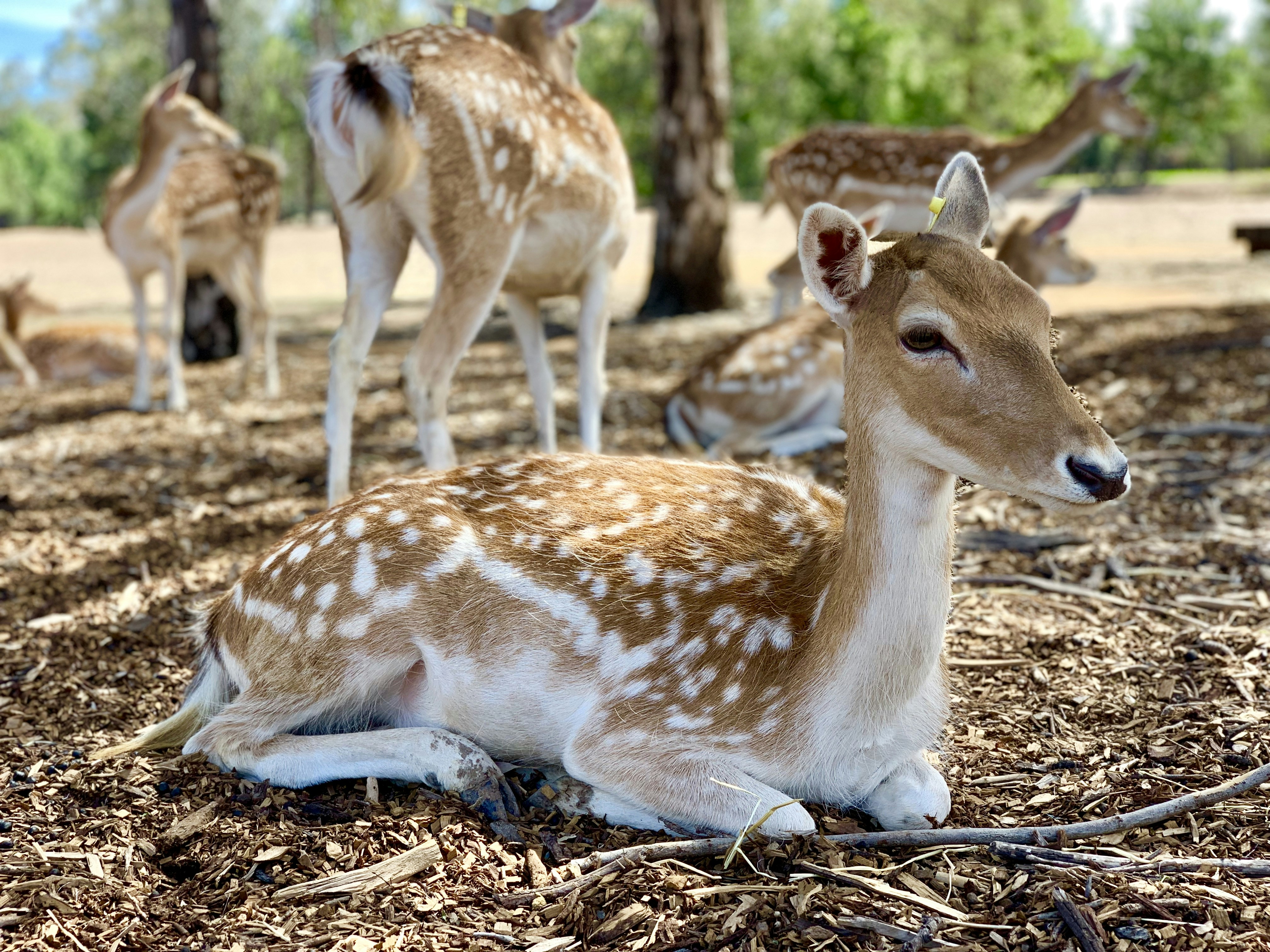 Photo by sandeepsapkota