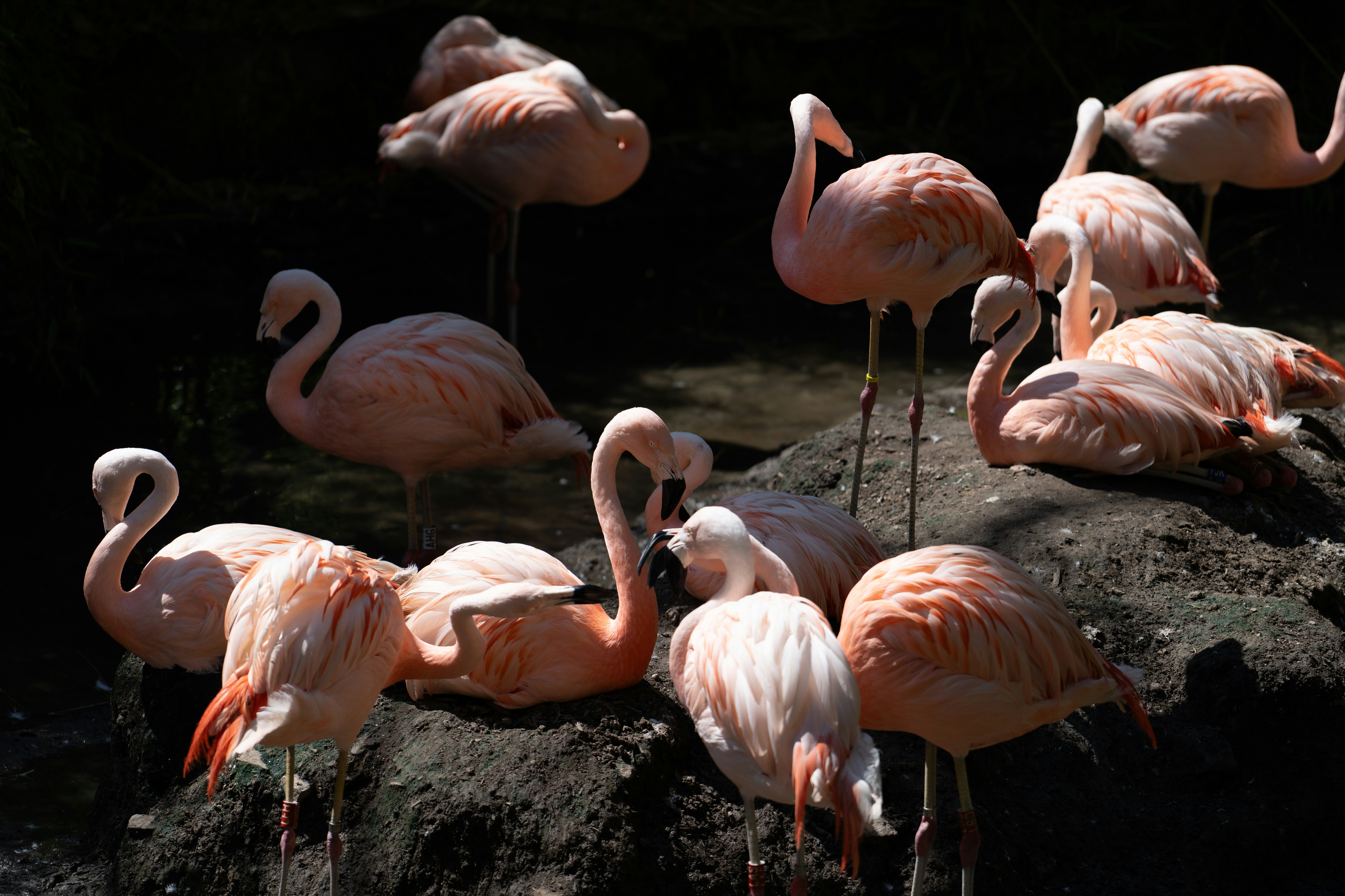 Photo by robertschwarz