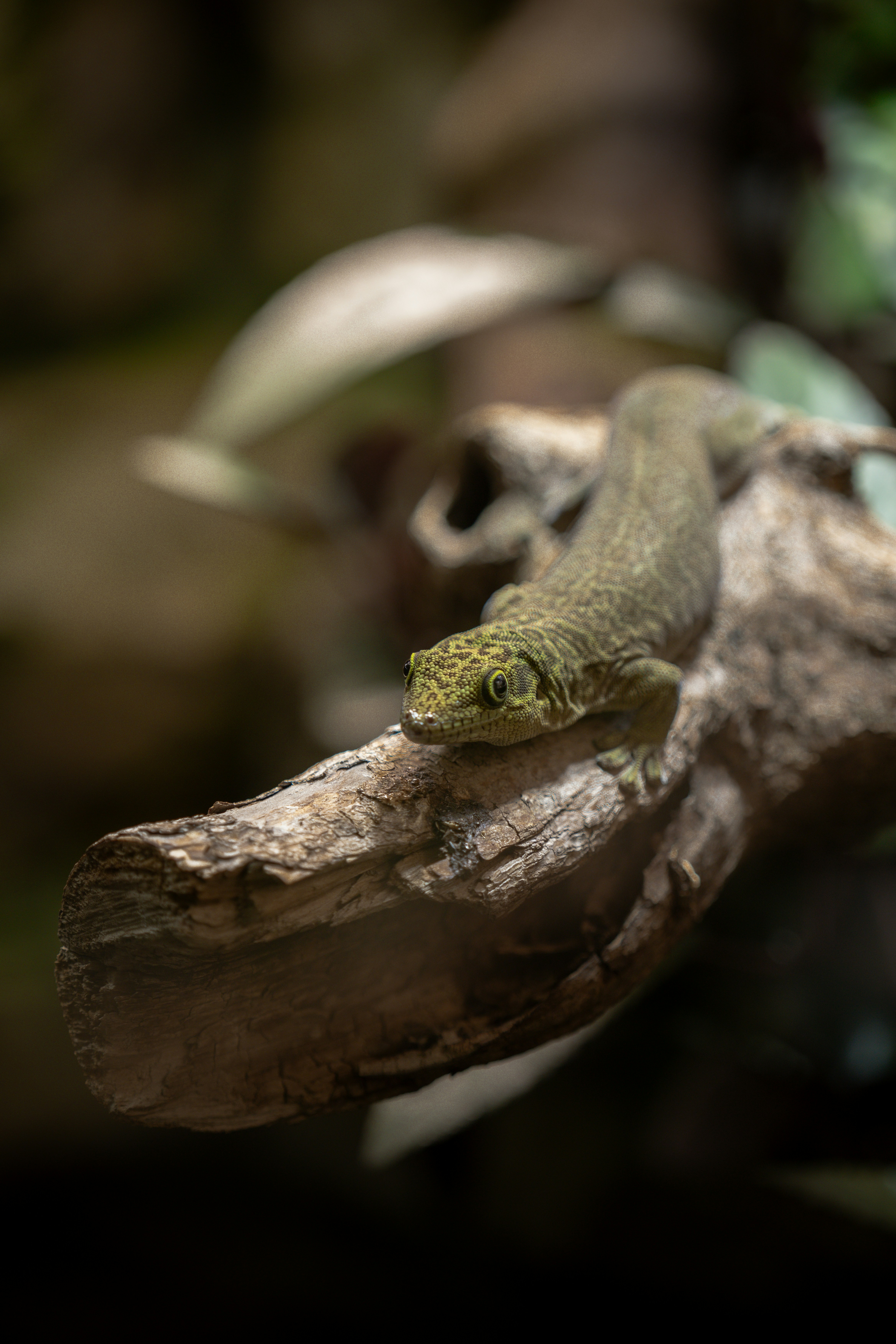 Photo by robertschwarz