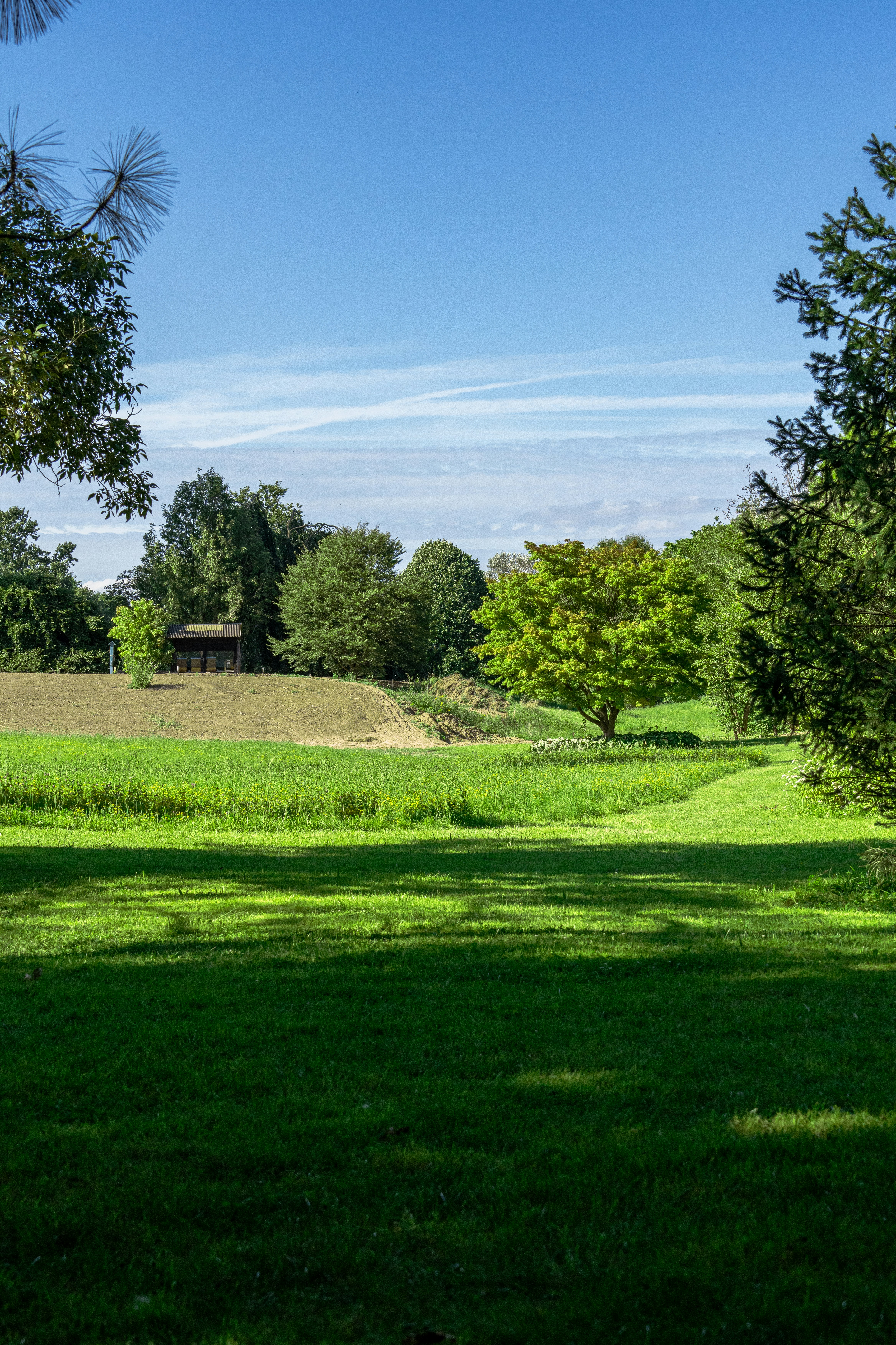 Photo by robertschwarz