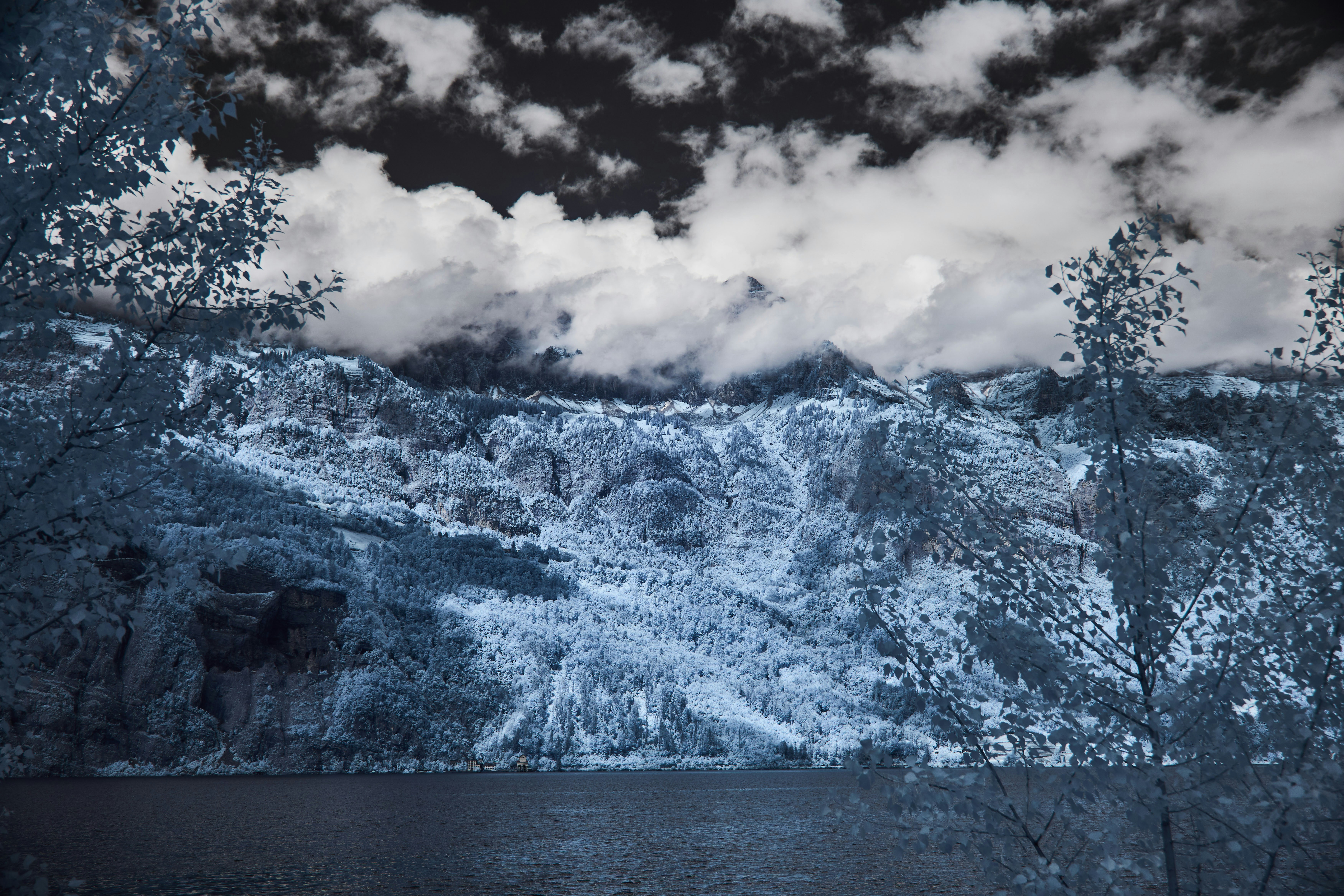 Photo by wolfgang_hasselmann