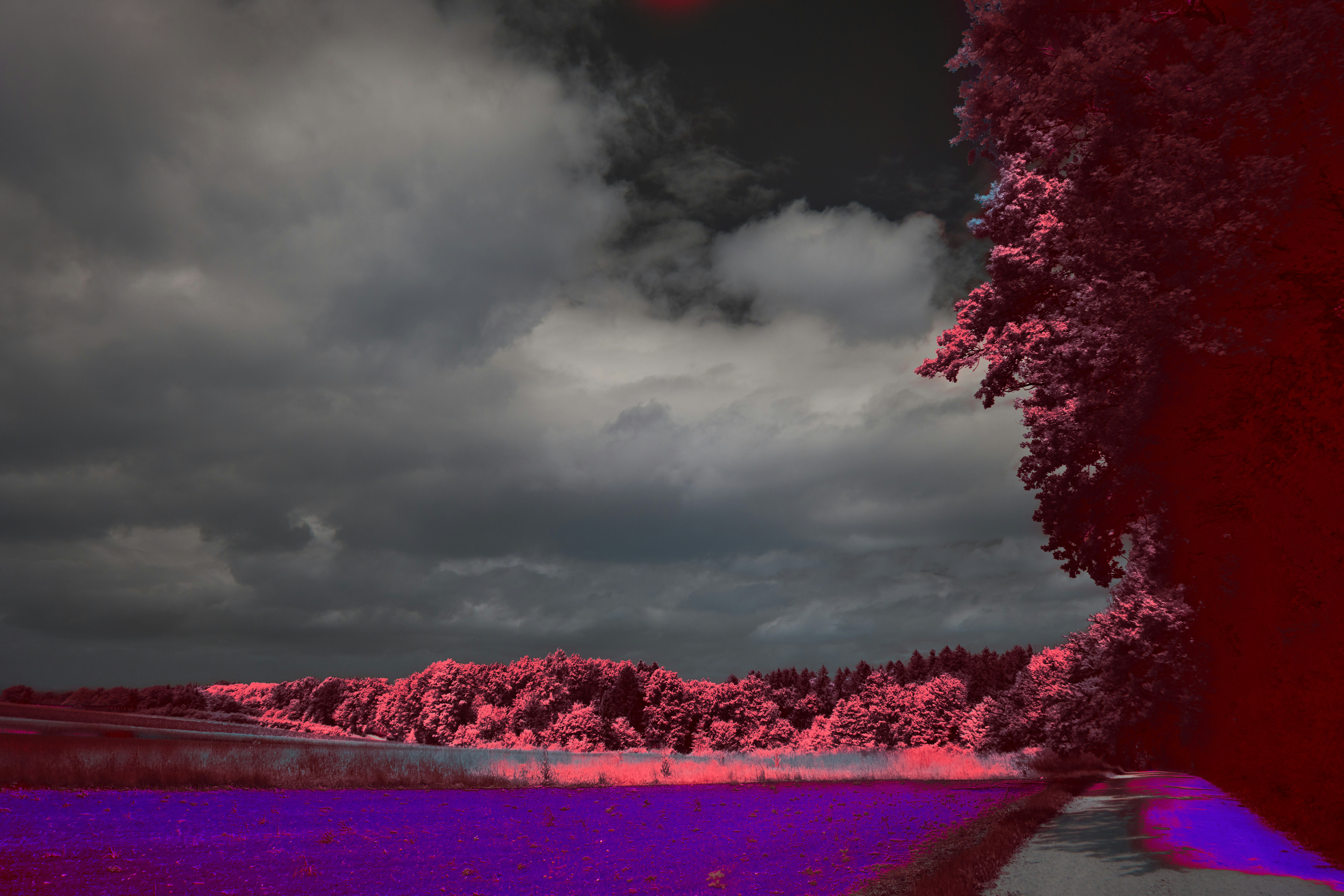 Photo by wolfgang_hasselmann