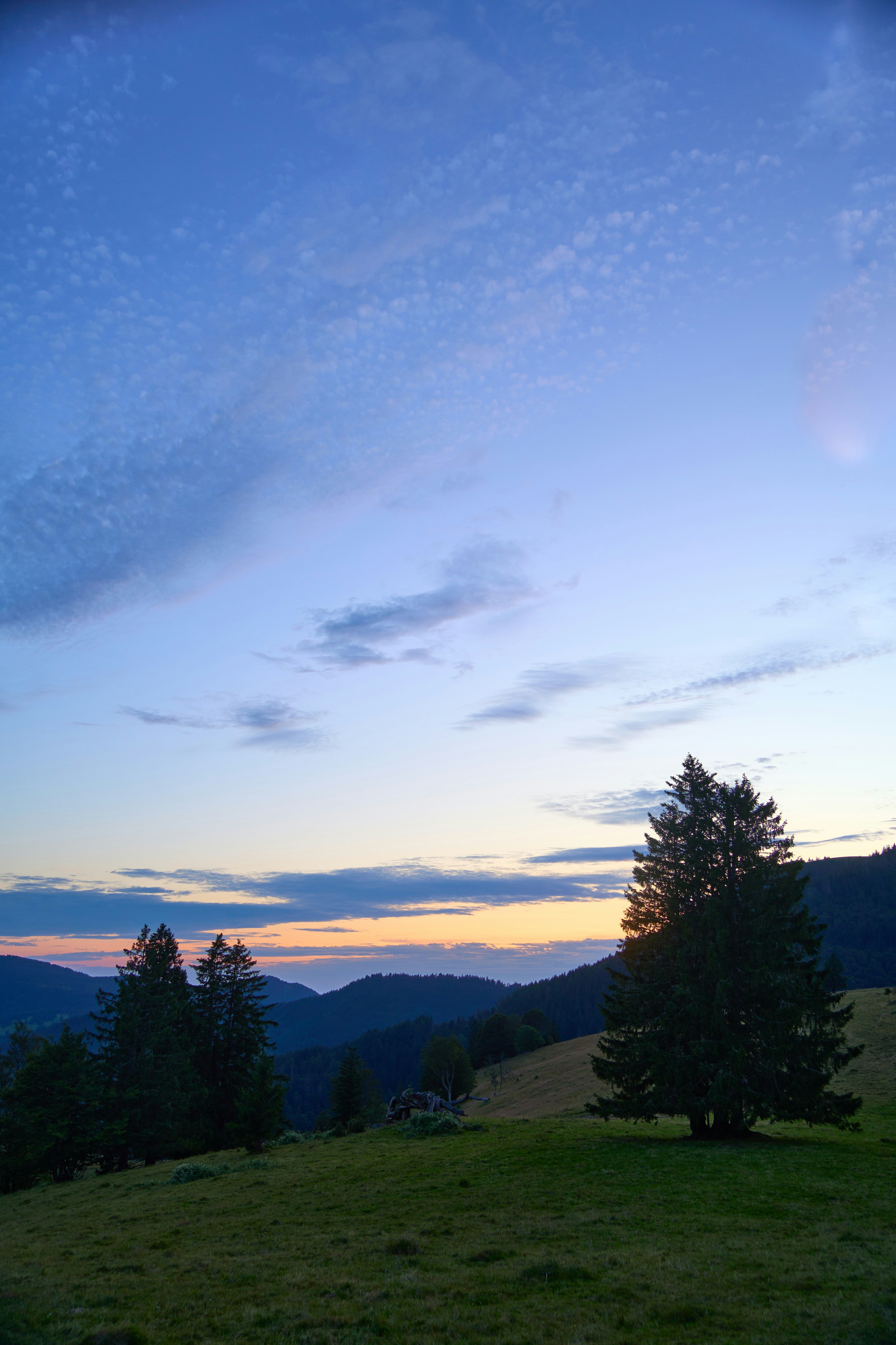 Photo by wolfgang_hasselmann