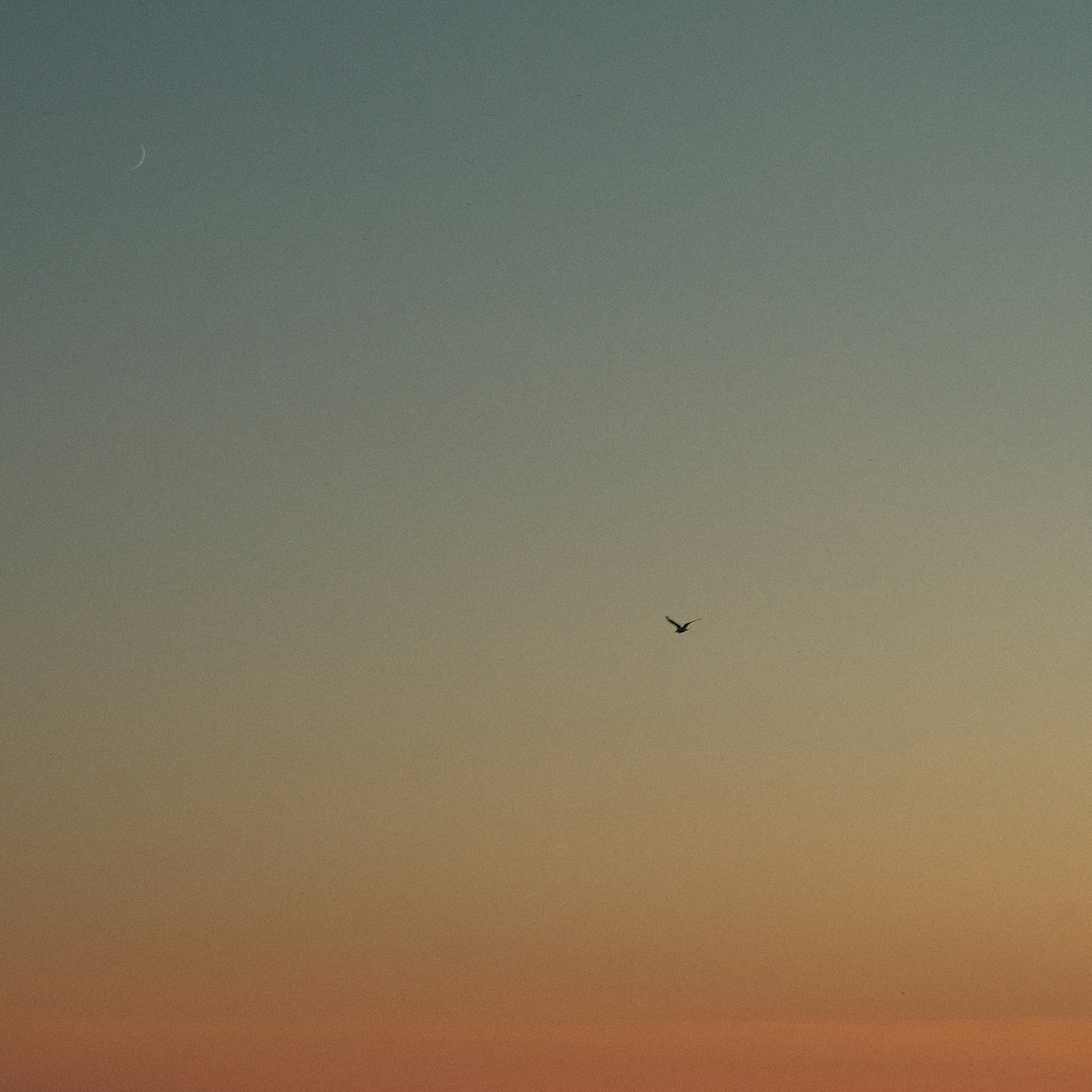 Photo by bisnakstudio