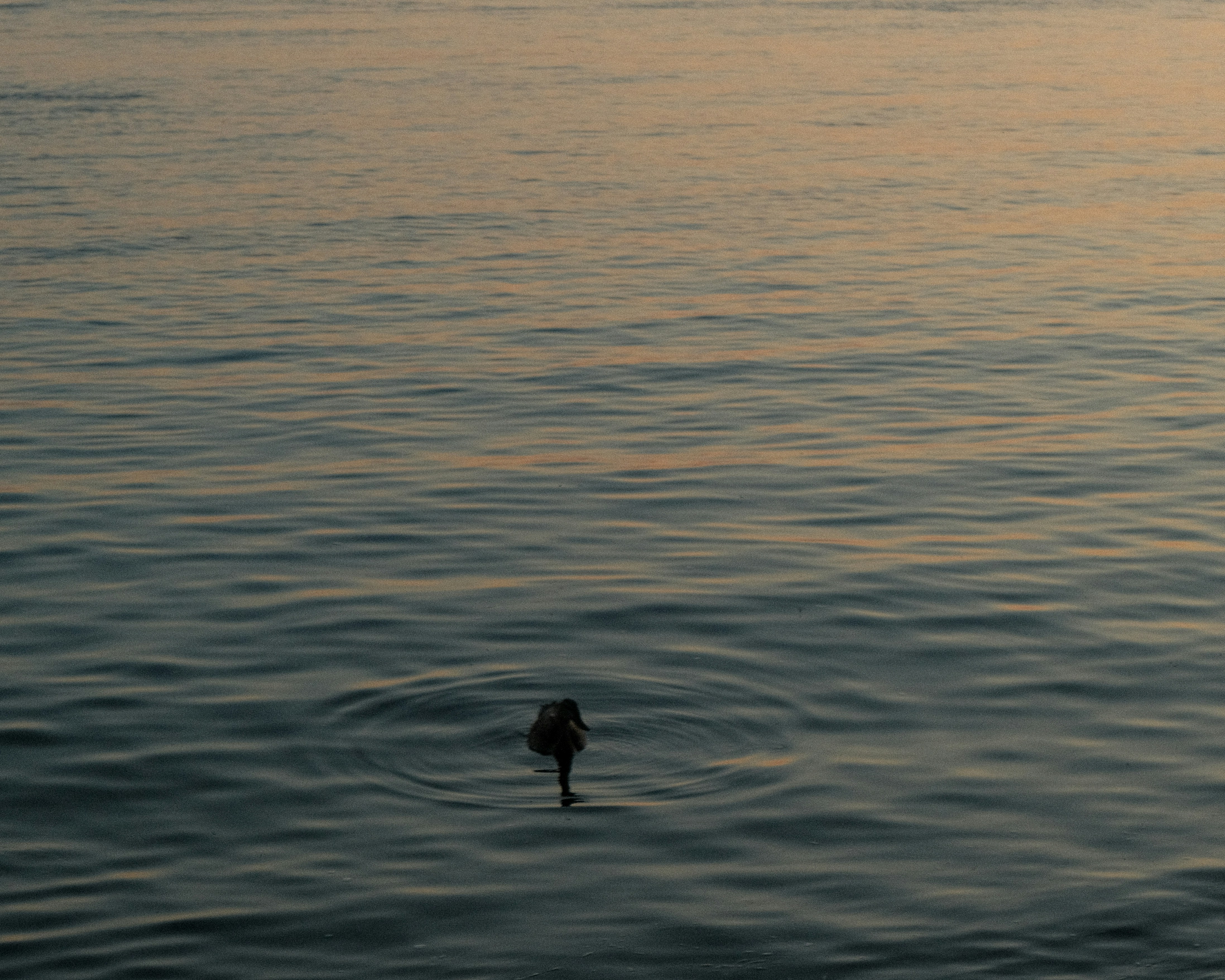 Photo by bisnakstudio