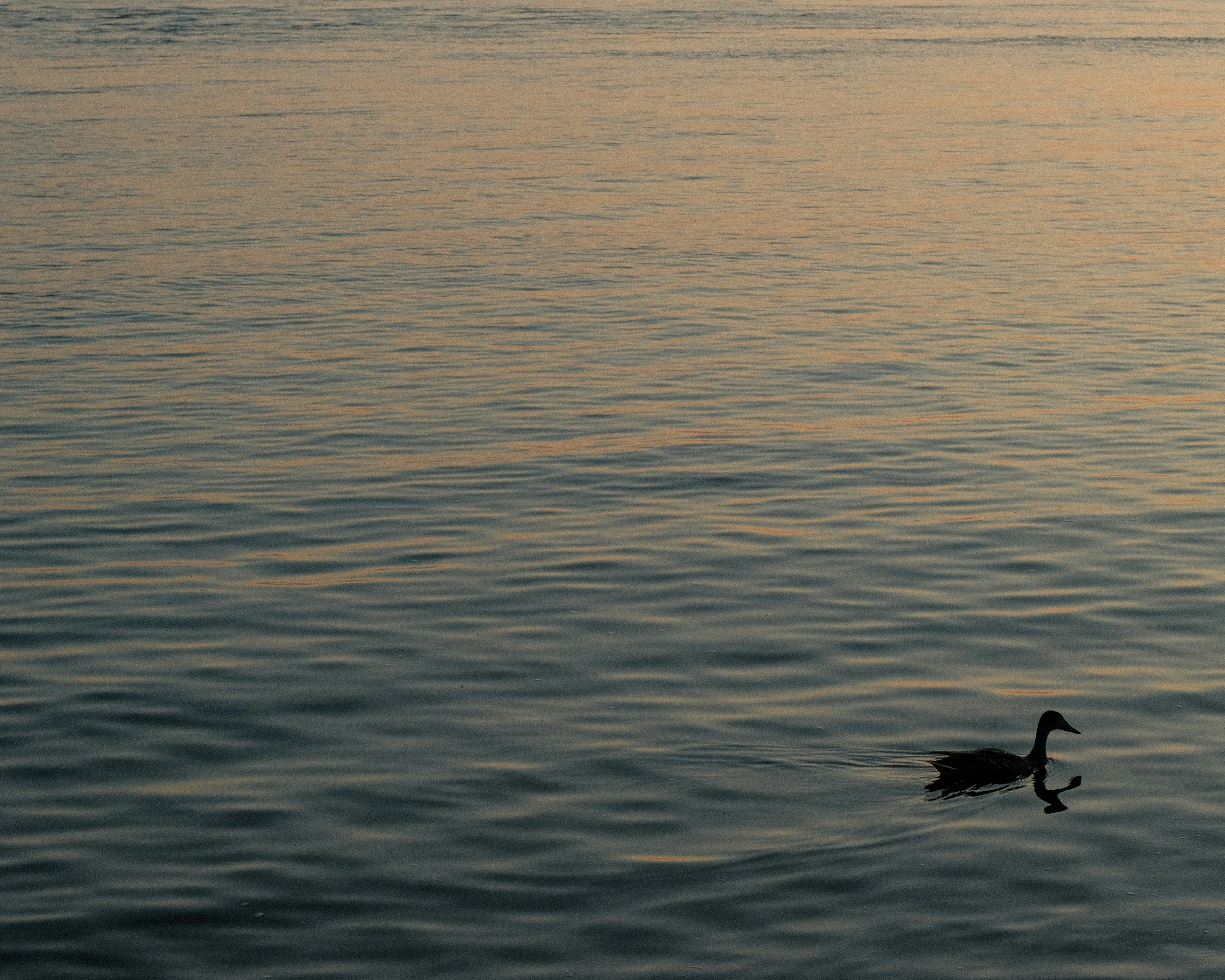 Photo by bisnakstudio