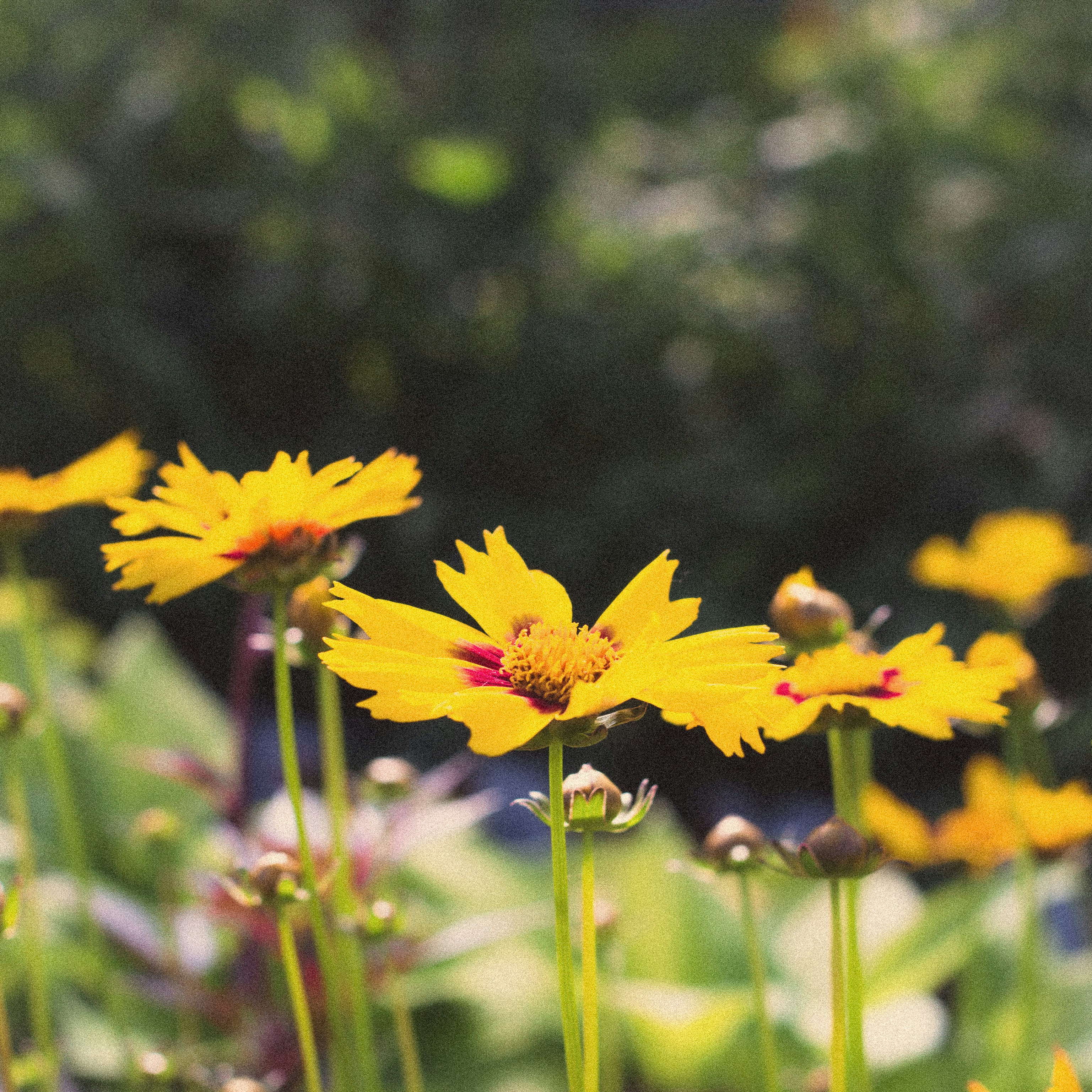 Photo by bisnakstudio