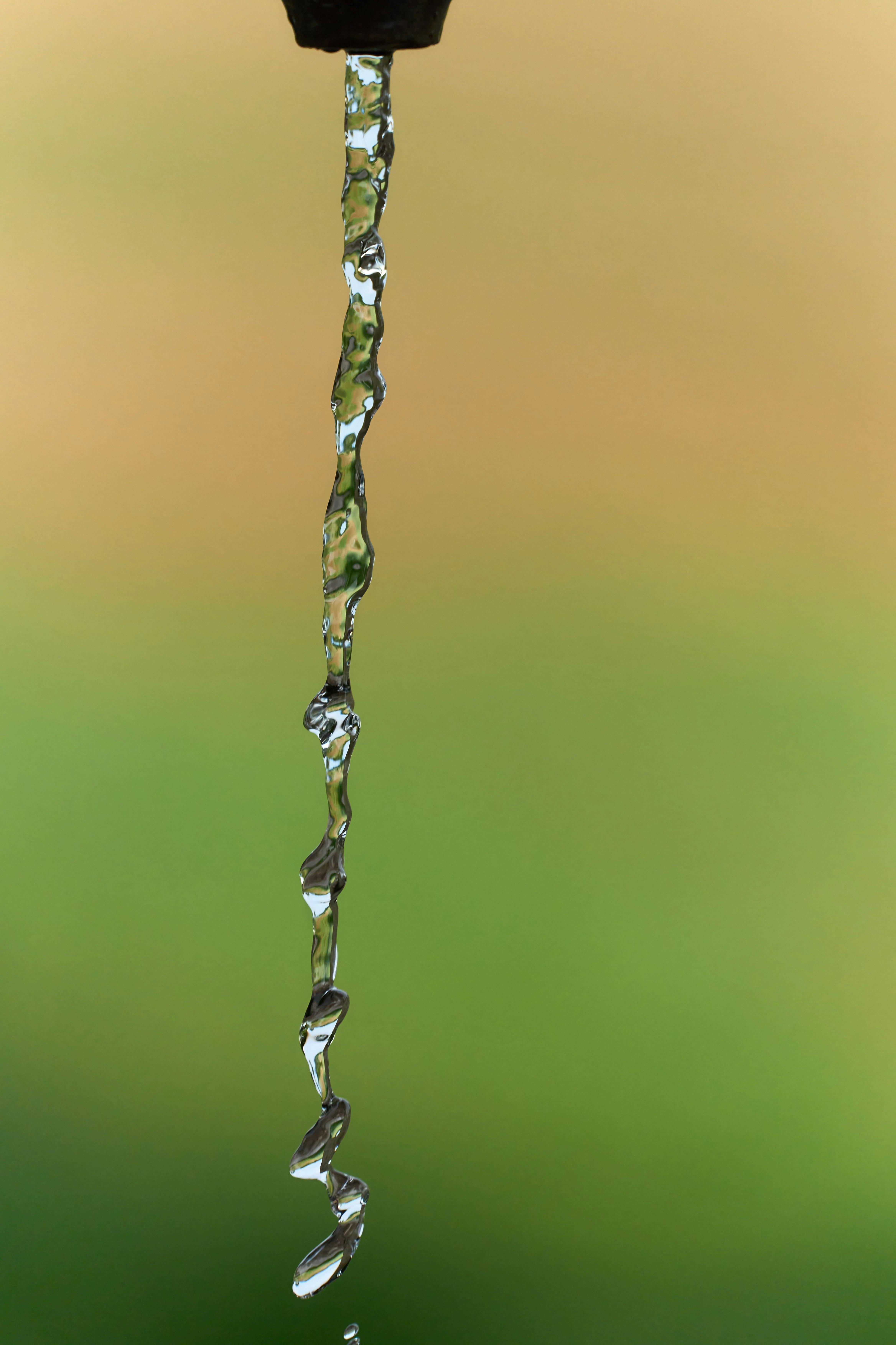 Photo by wolfgang_hasselmann