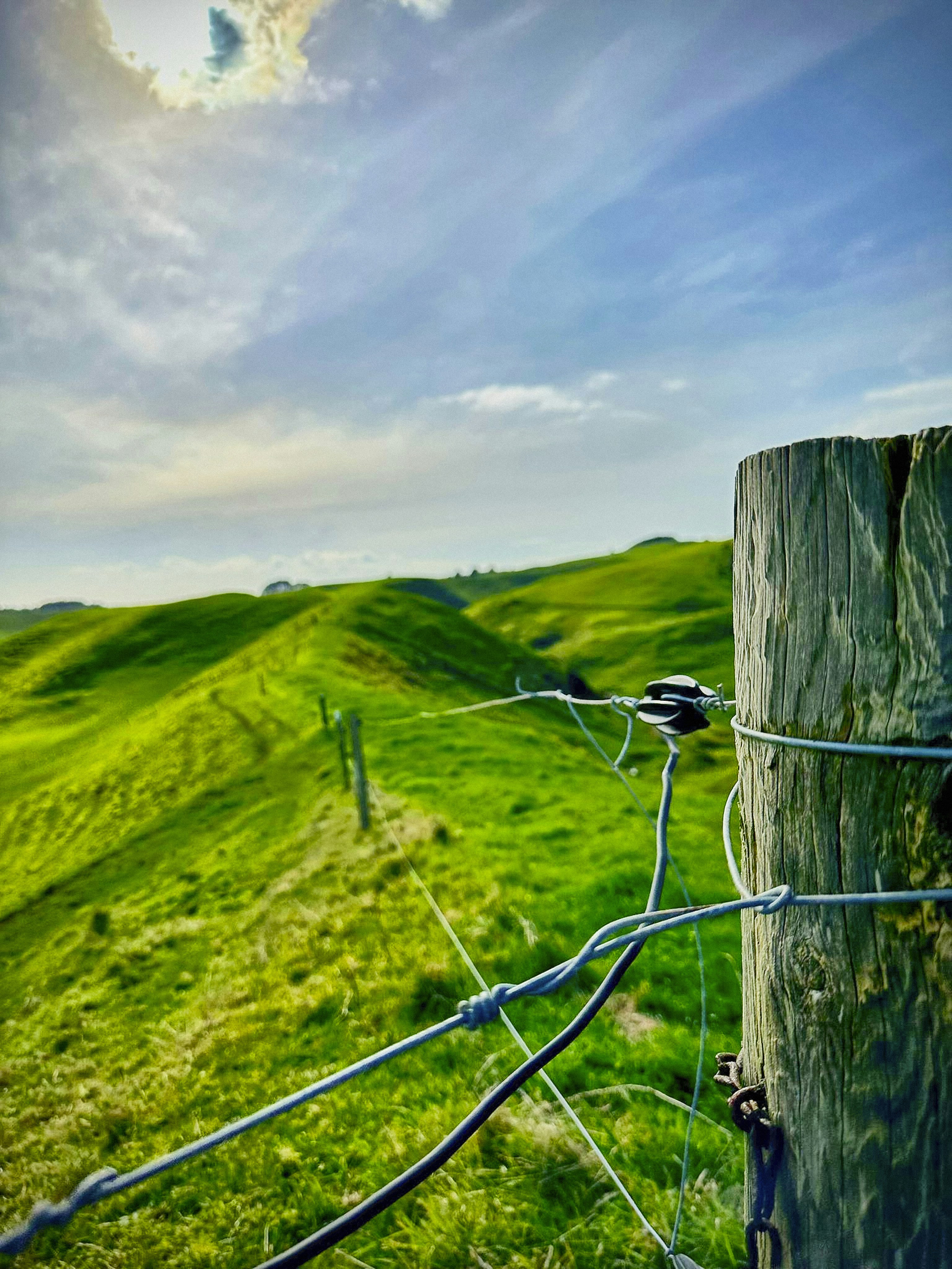 Ein Holzpfosten auf einer Wiese mit einem Himmel im Hintergrund
