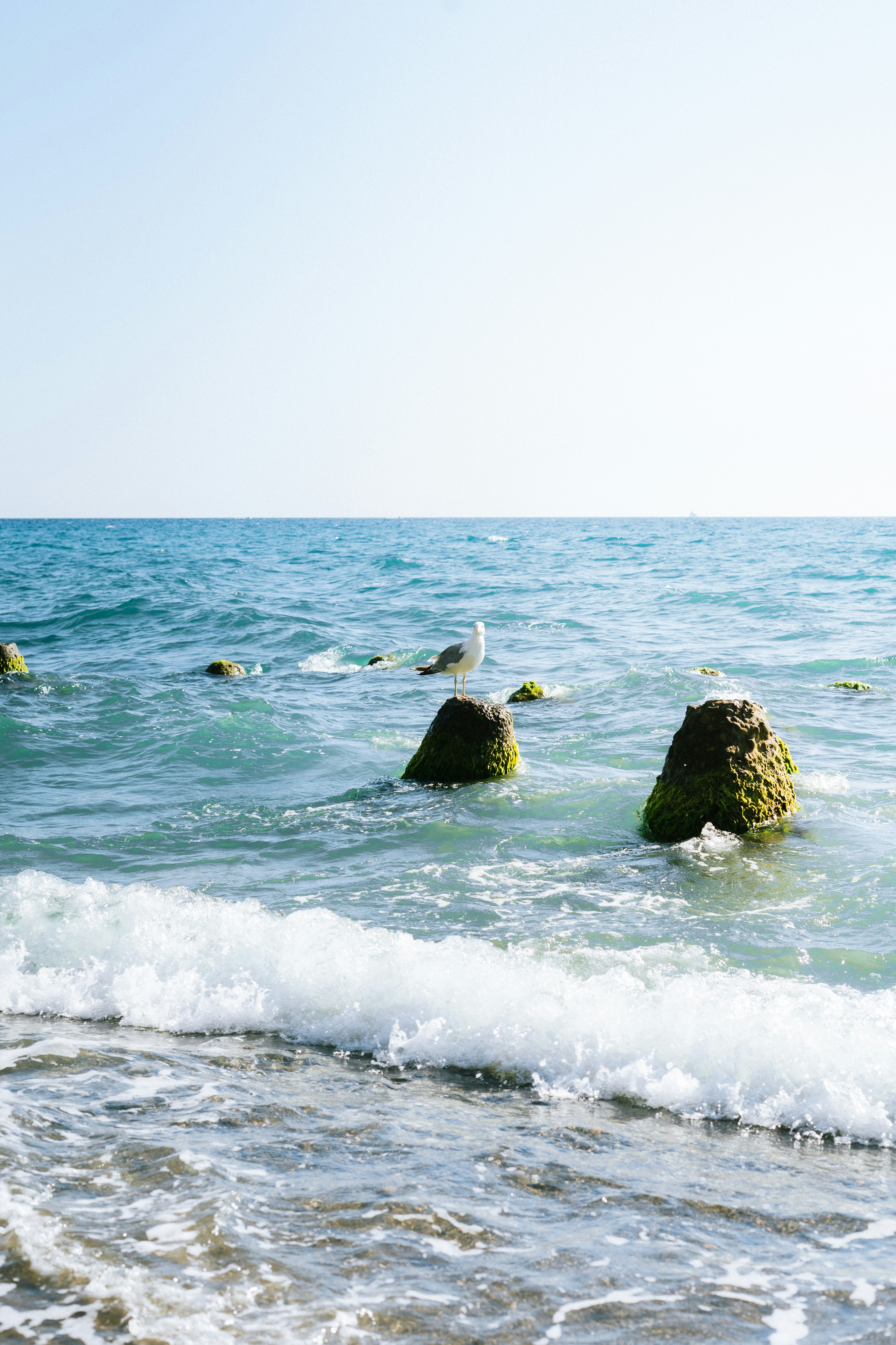 A group of rocks sticking out of the ocean