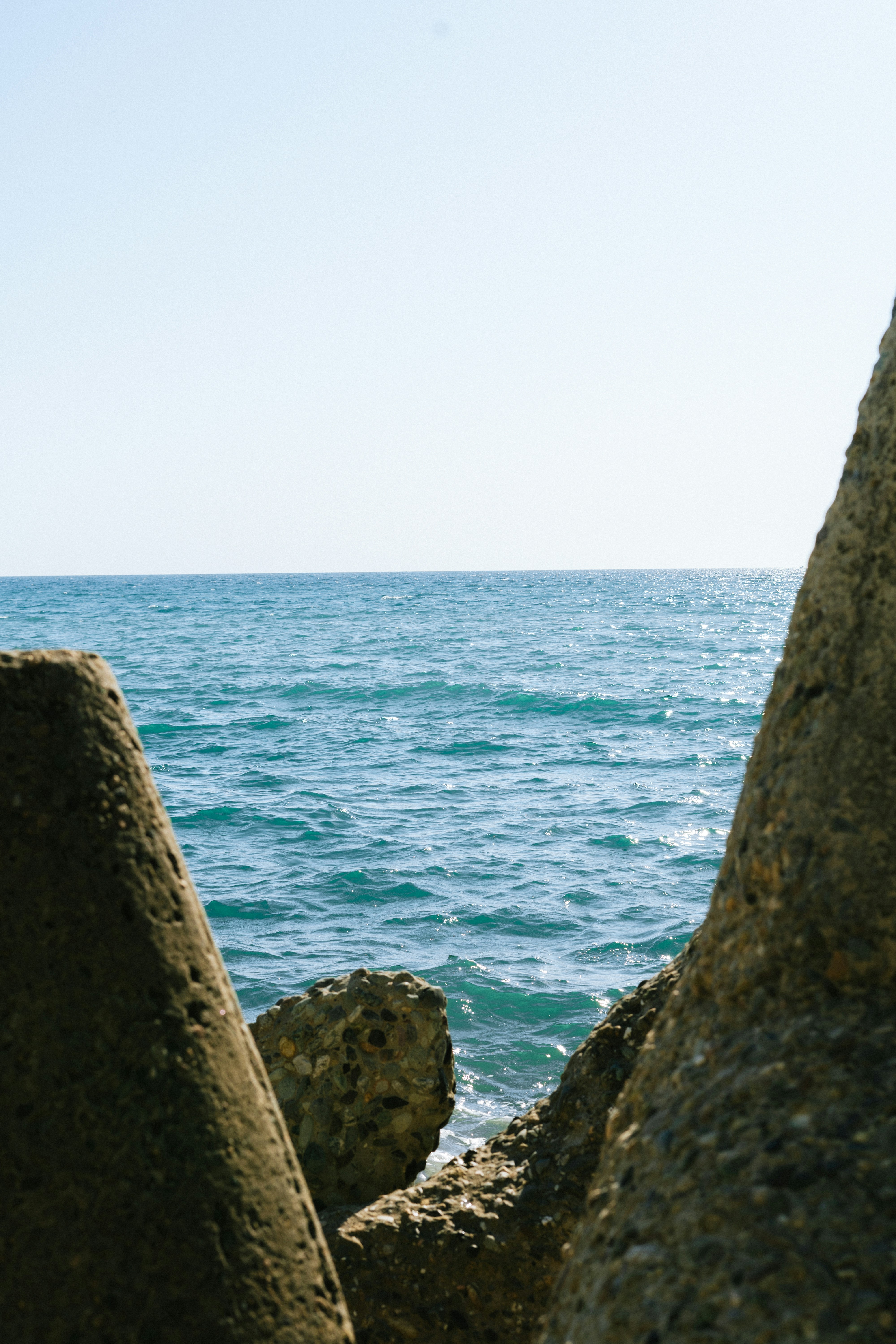 A bird sitting on a rock near the ocean