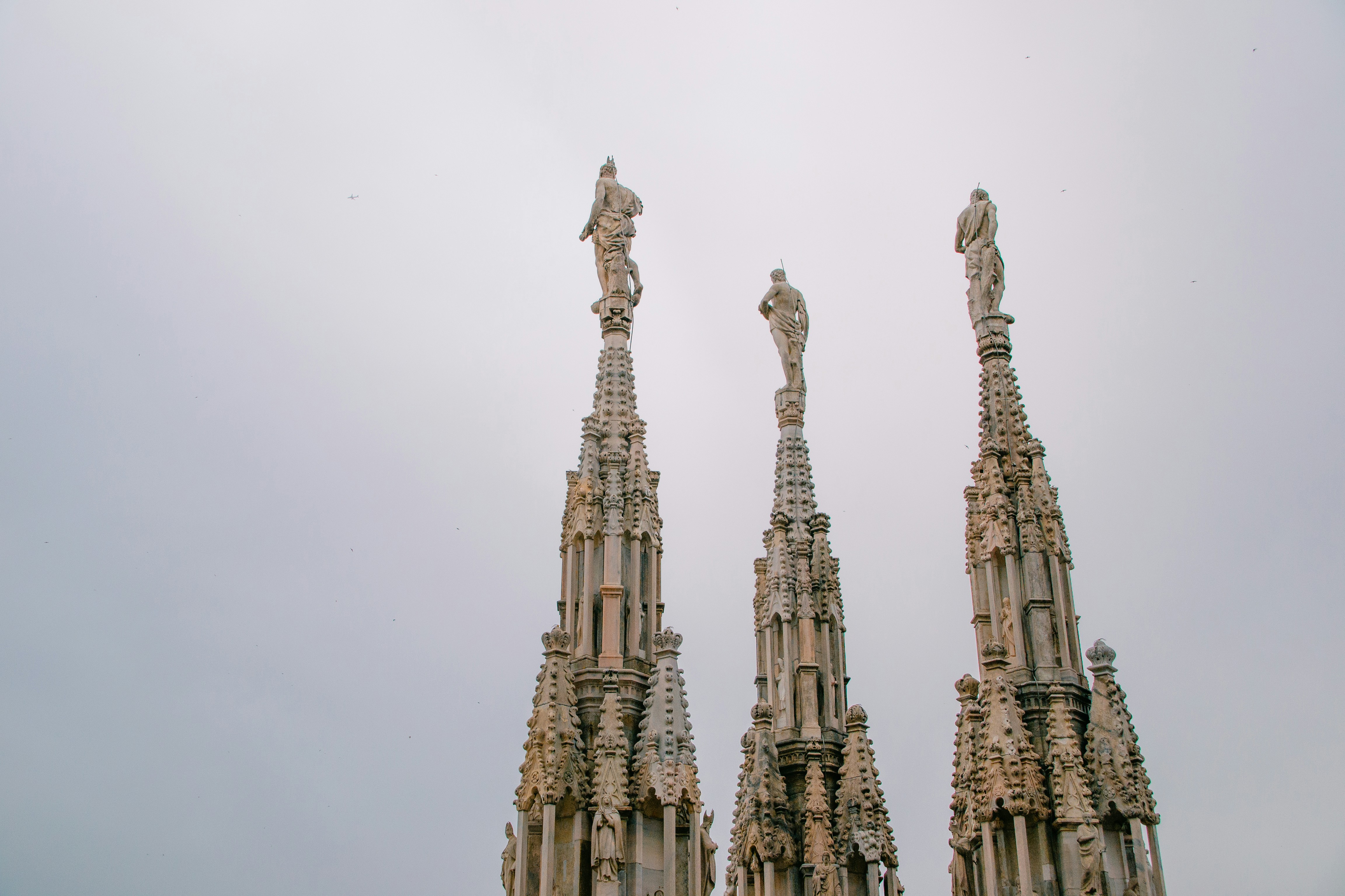 Photo by anamilanofoto