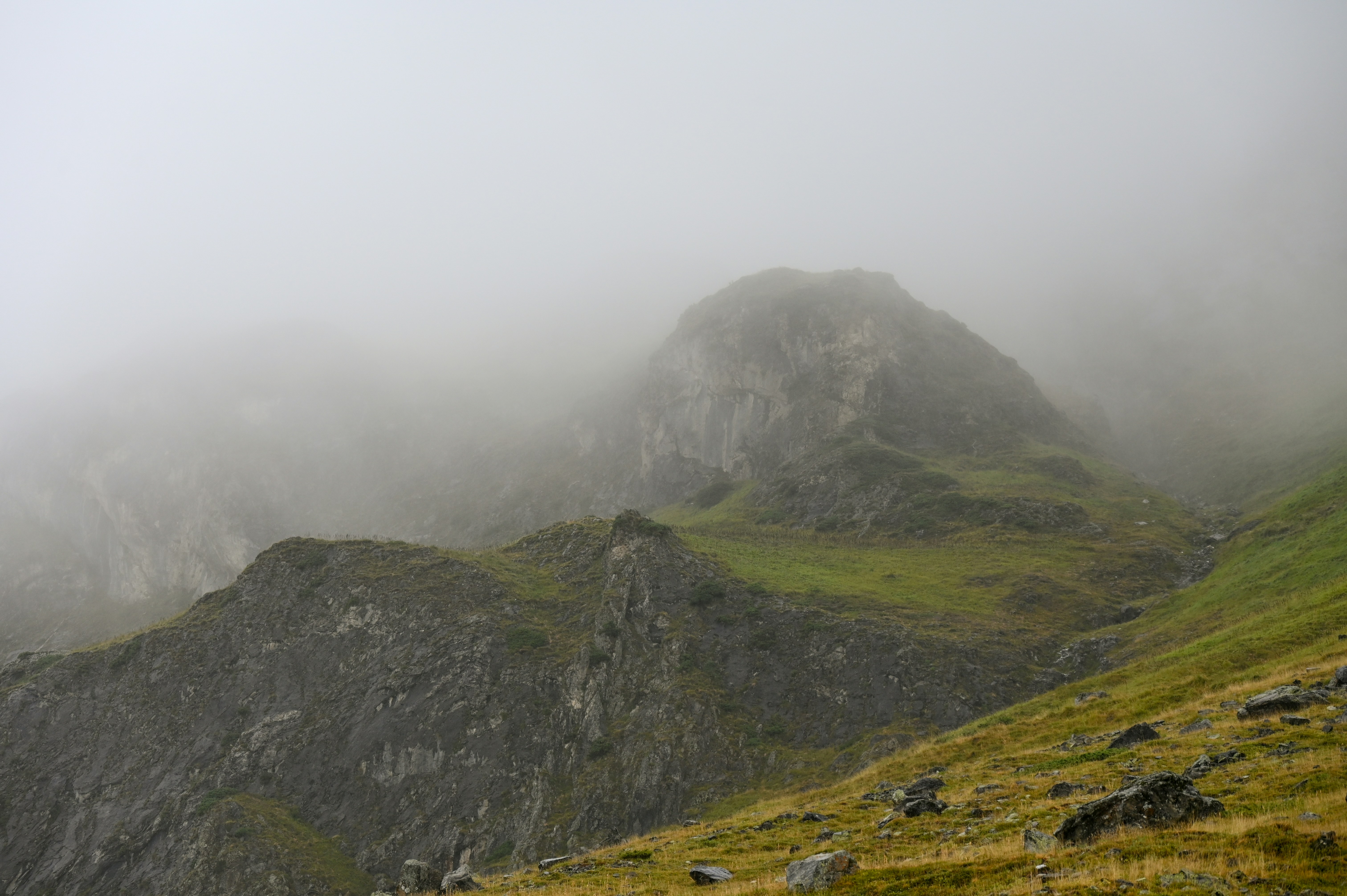 A foggy mountain landscape with sheep grazing in the foreground