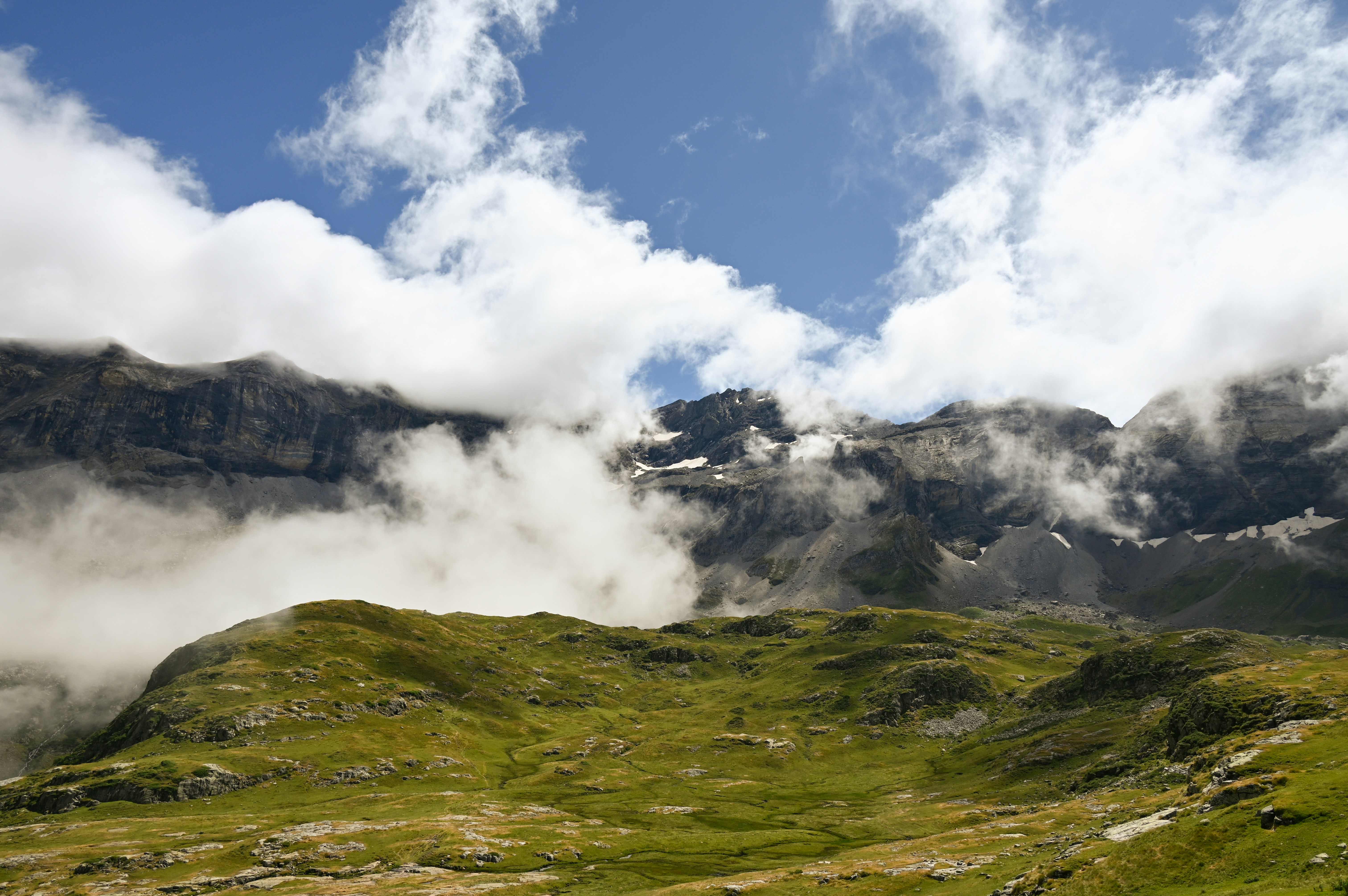 A grassy field with mountains in the background