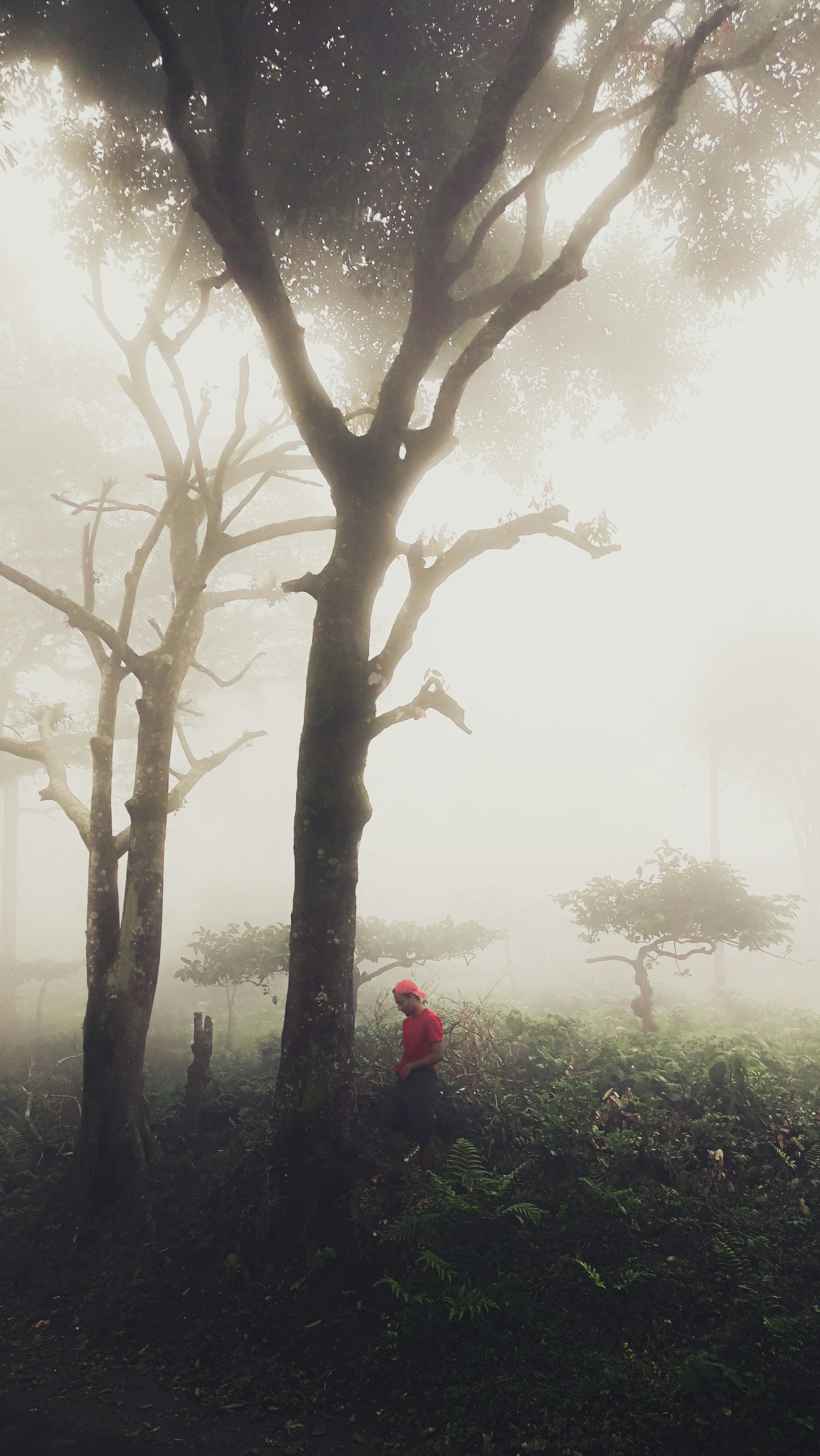 Photo by farhan_faras
