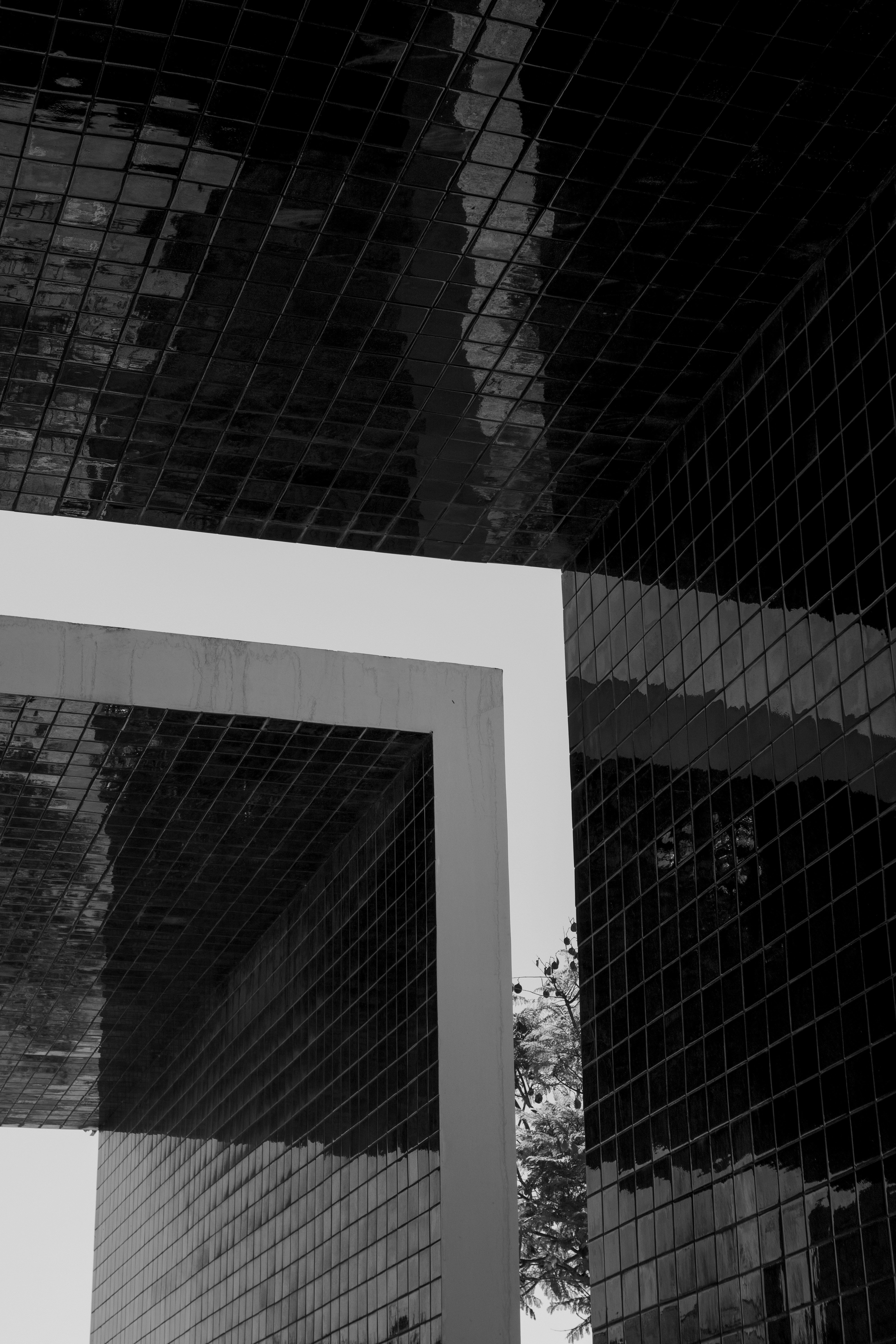 Photo by filipenobre