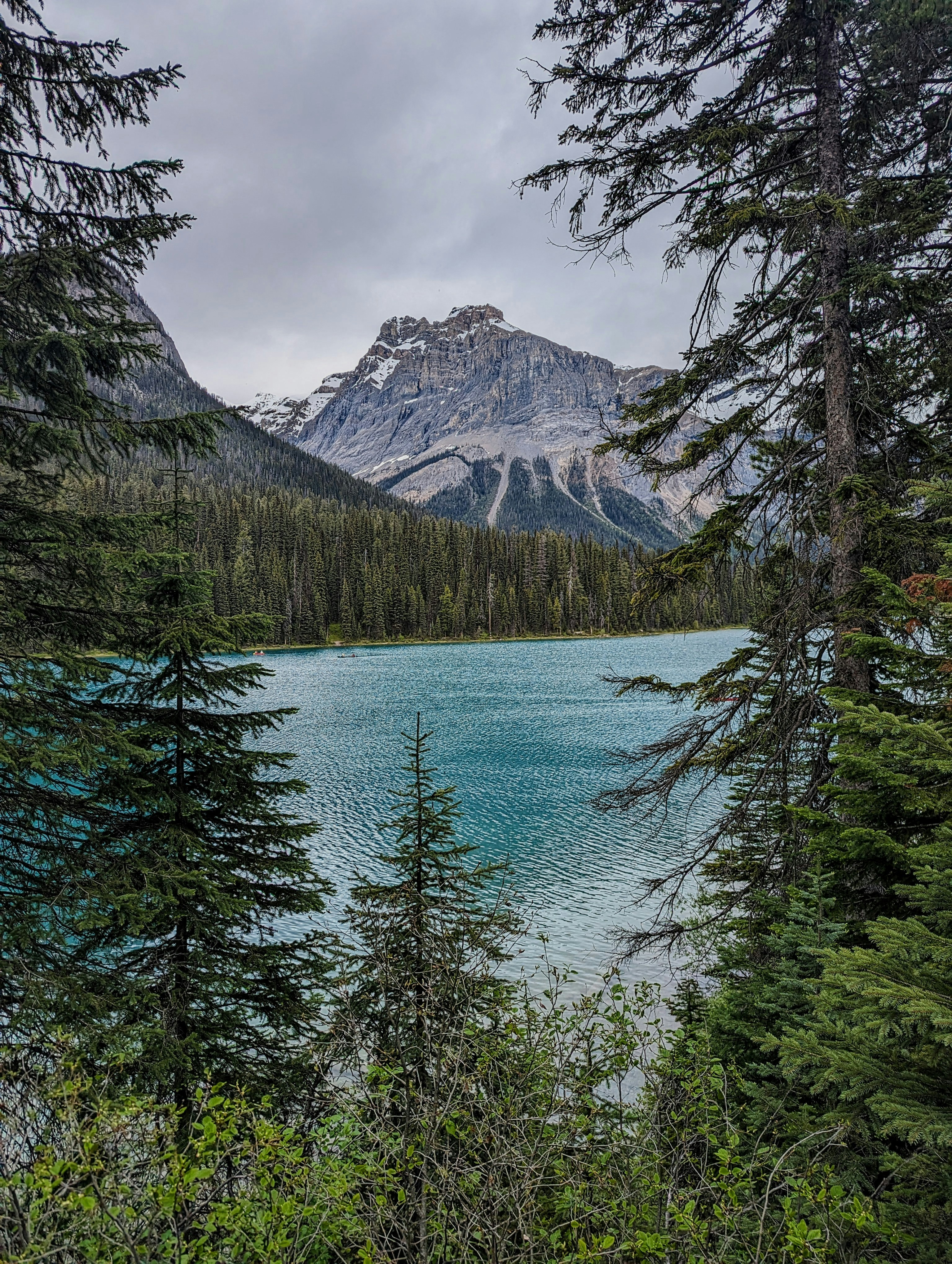 Photo by lifescapturedsparks