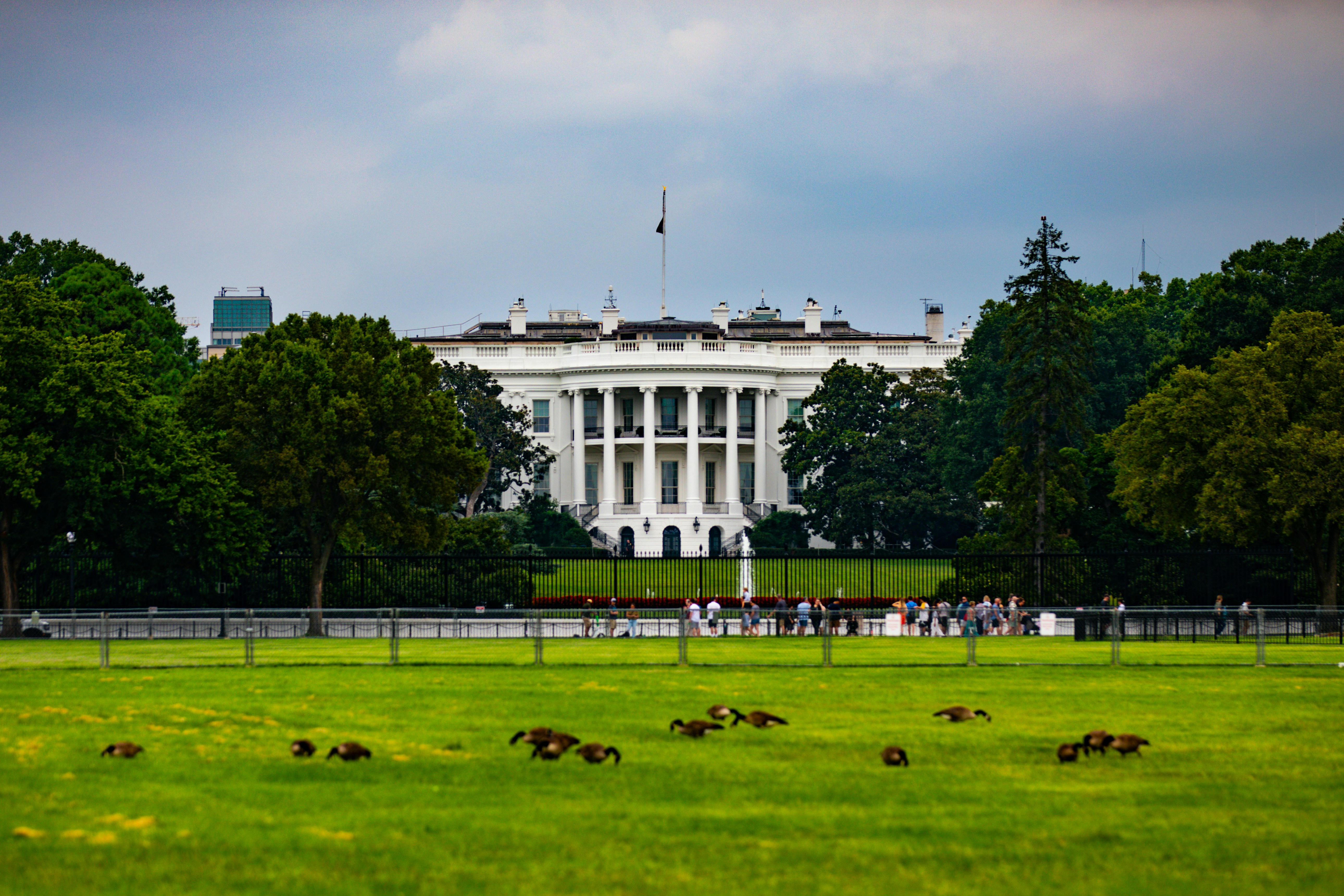 A view of the white house from across the field