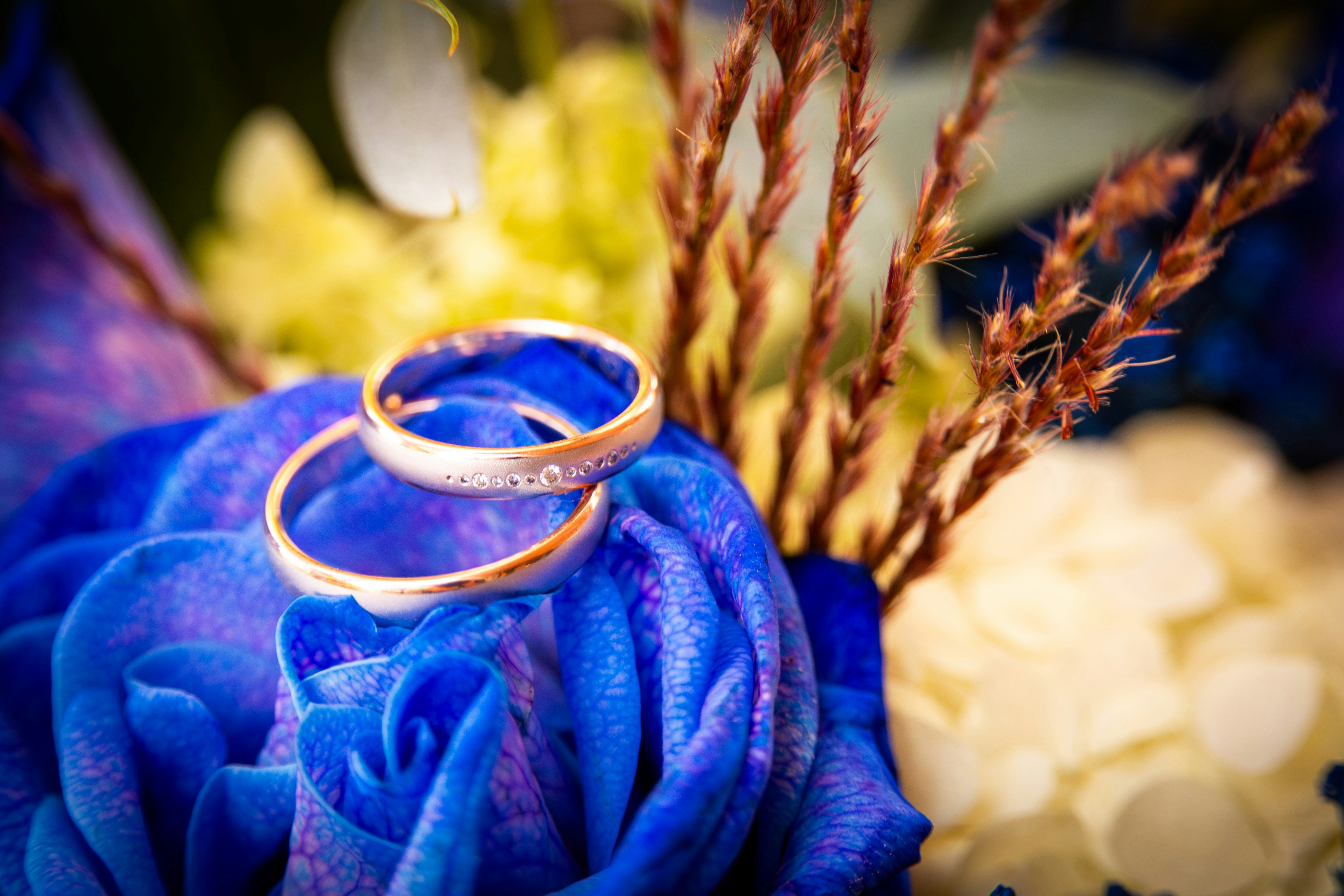 photo-1724078313640-9663c3ec58d5?q=80\u0