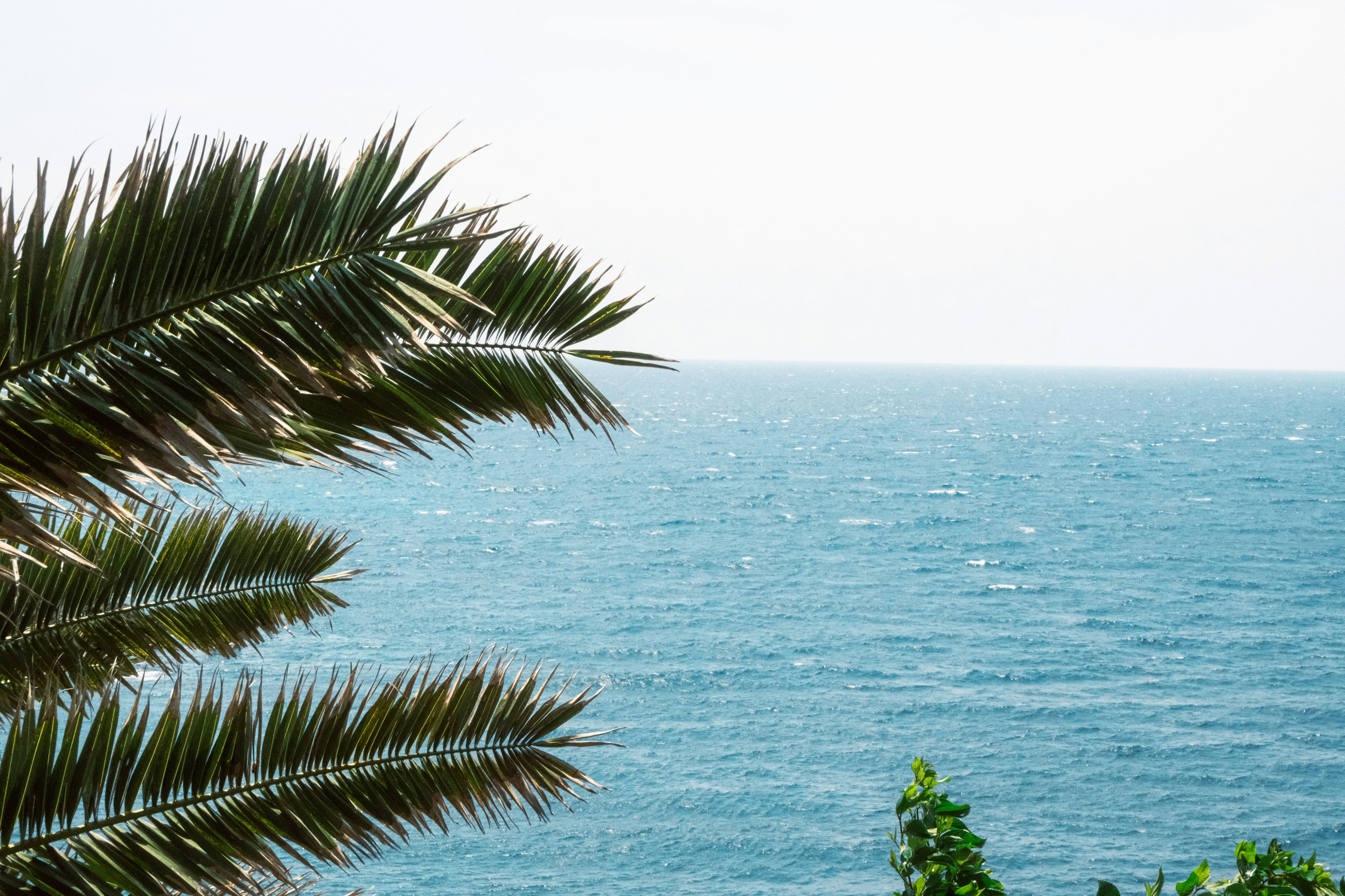 Photo by freethinkel