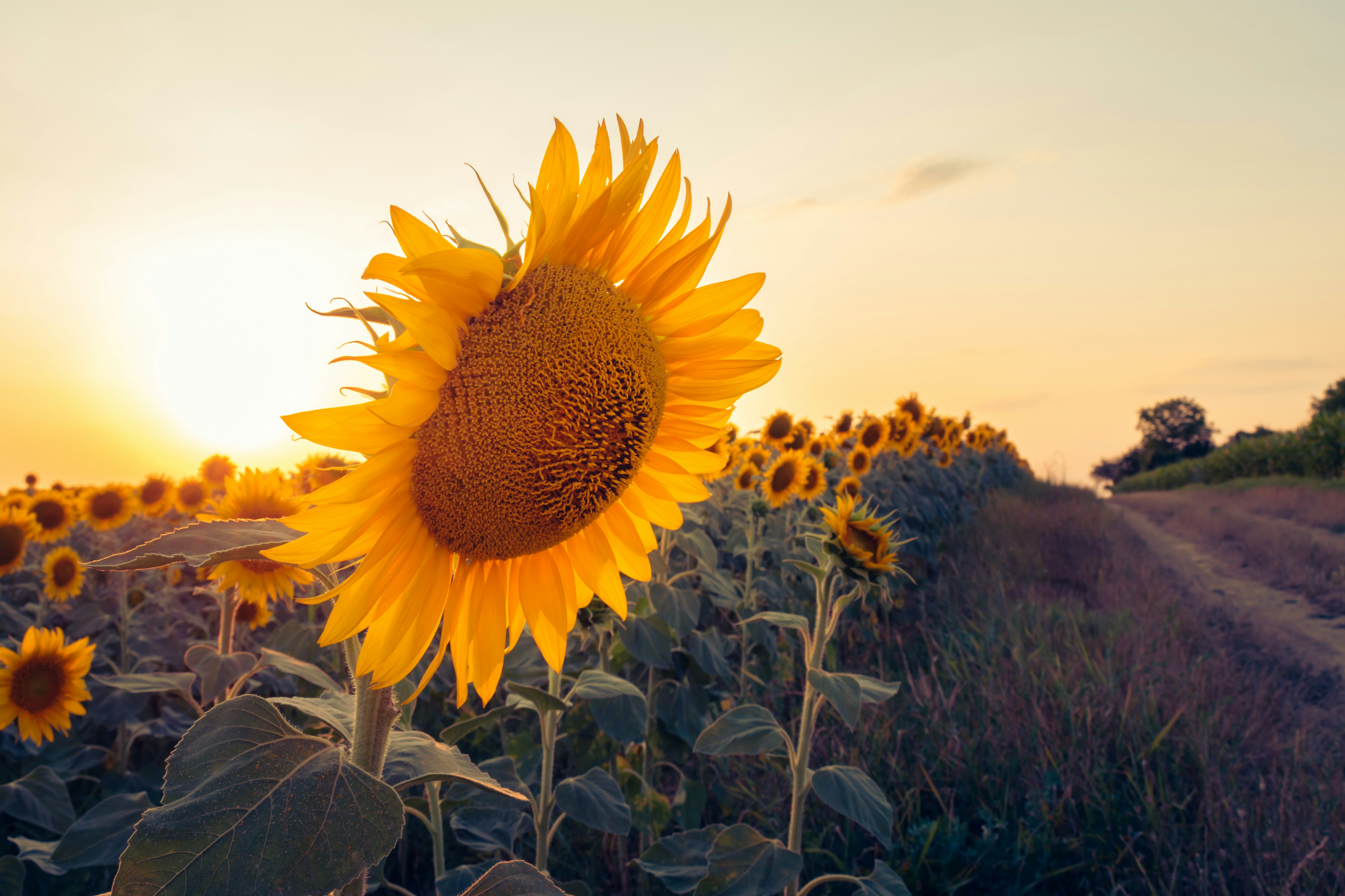 Photo by niki_emmert