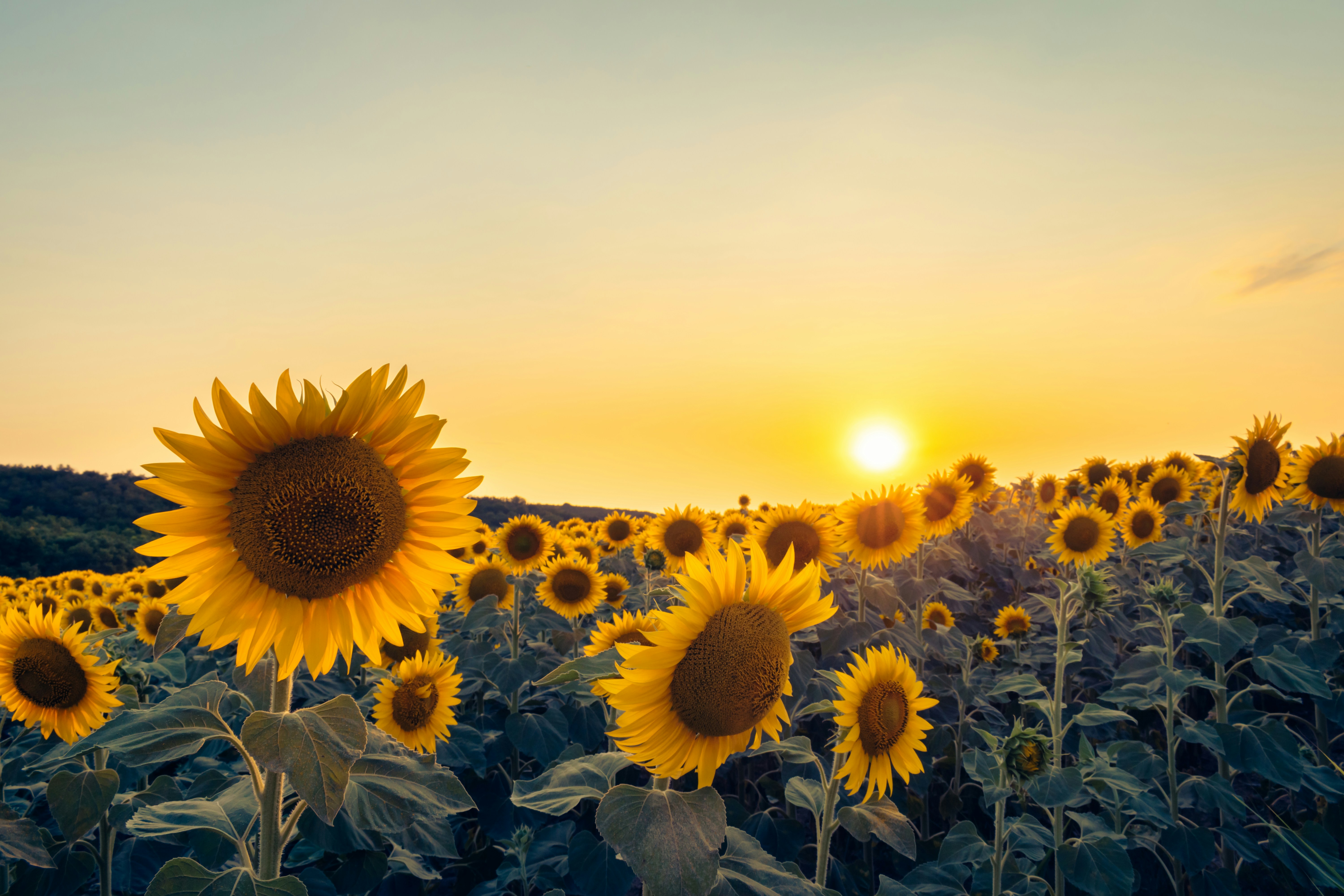 Photo by niki_emmert