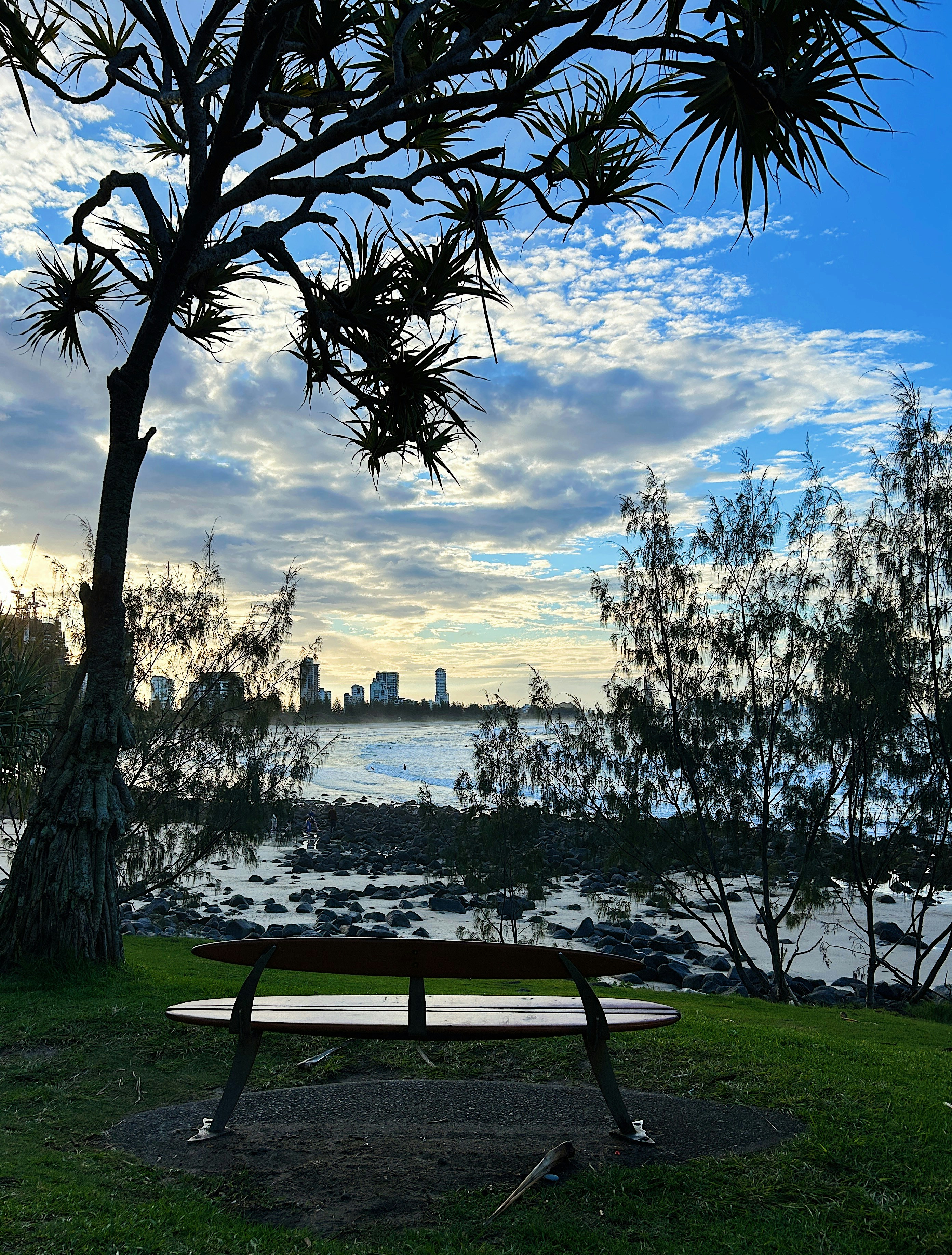 A park bench sitting next to a tree near a body of water