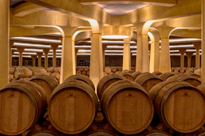A room filled with lots of wooden barrels